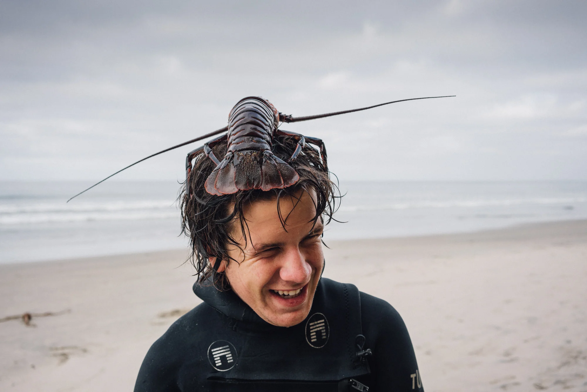 20180929_Lobster-05756.jpg