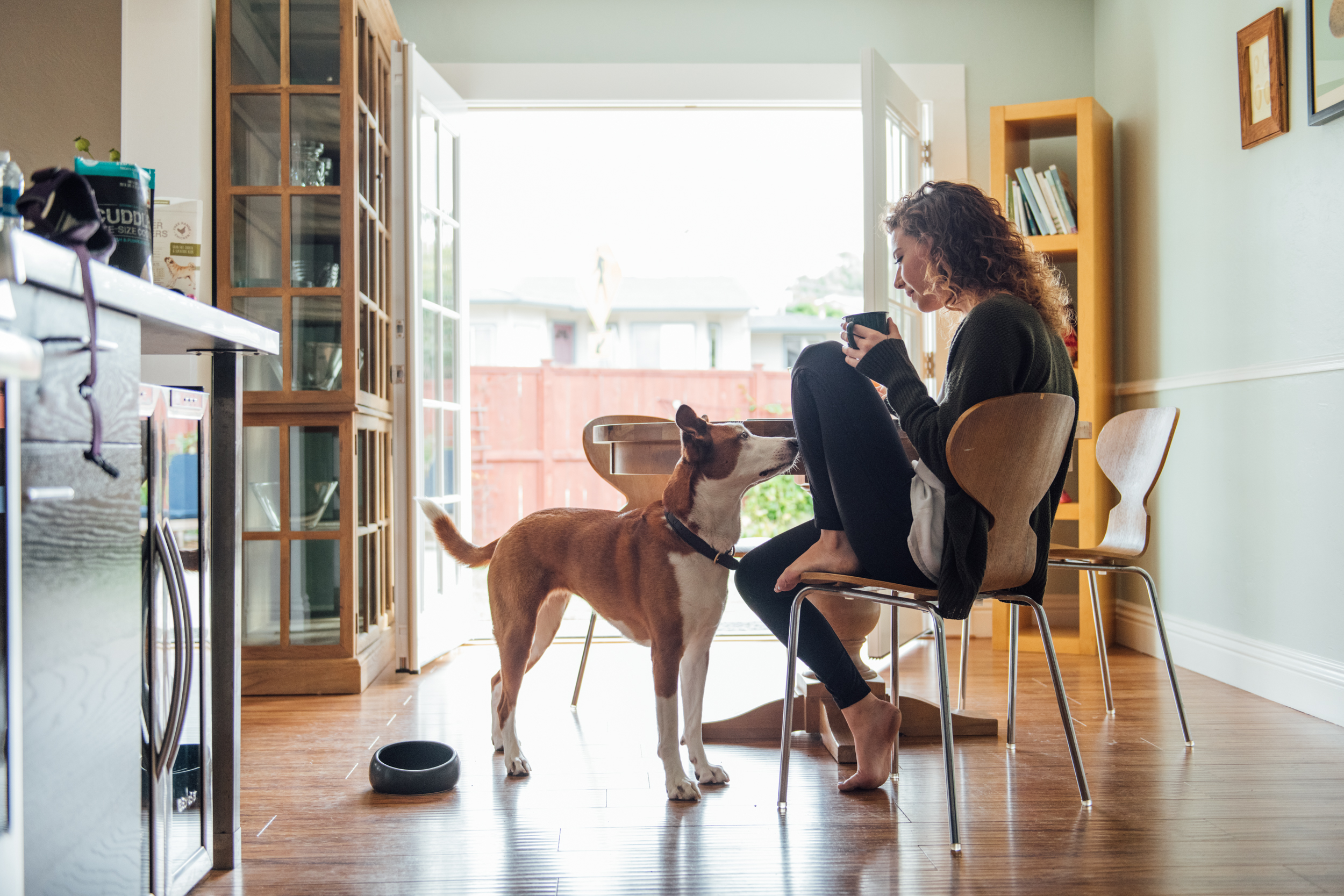 20180130_HonestKitchen_1008.jpg