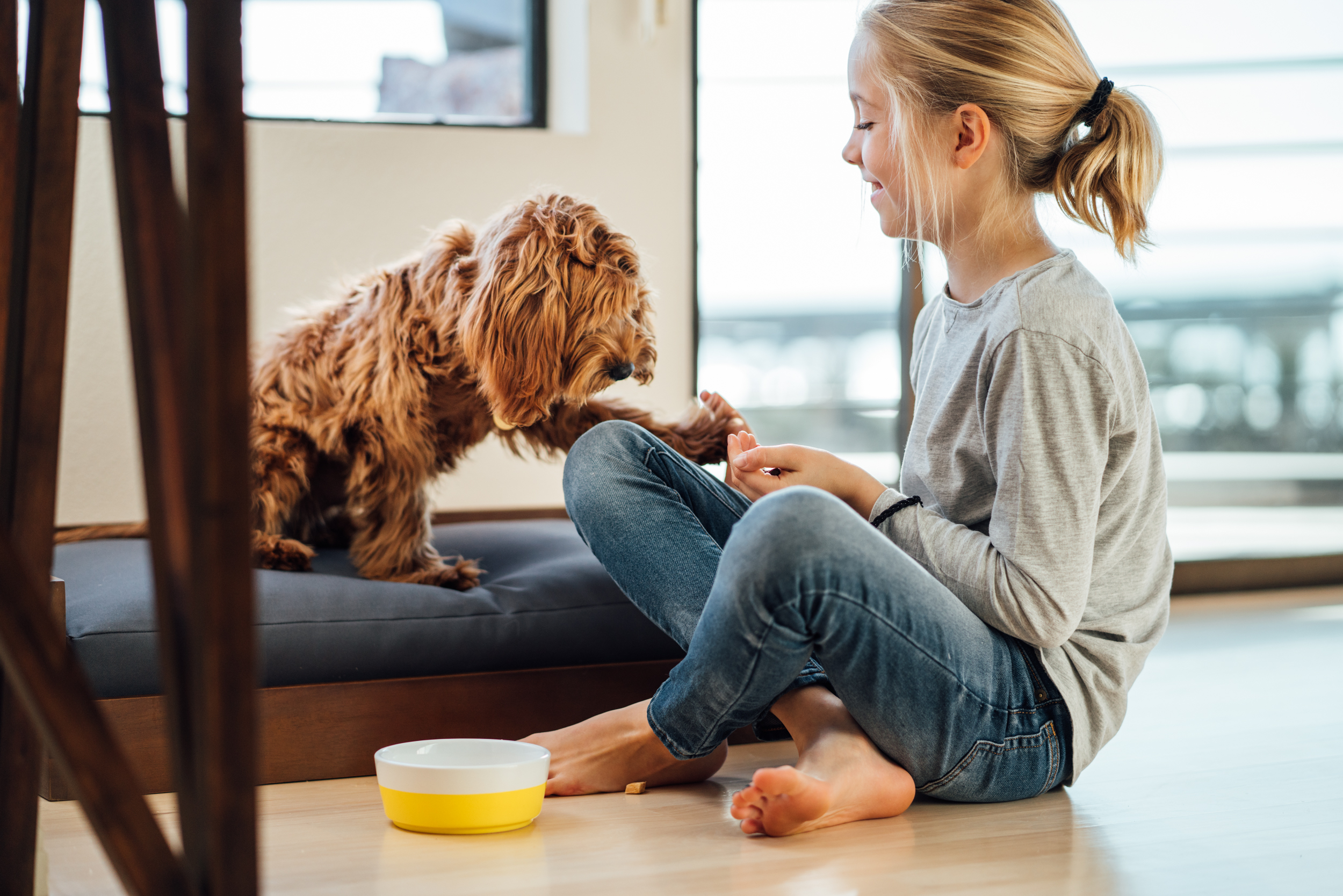 20180131_HonestKitchen_2215.jpg