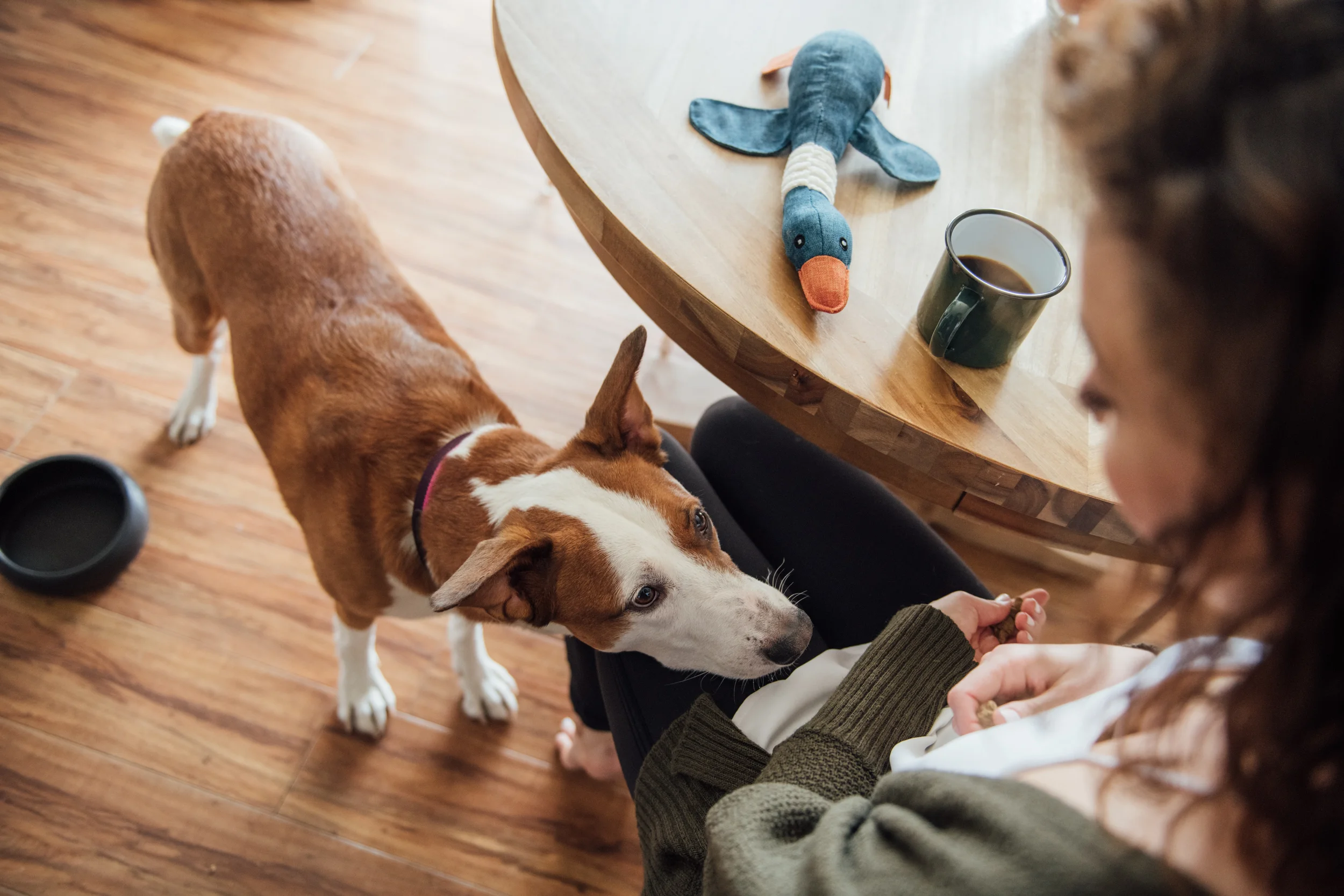 20180130_HonestKitchen_0974.jpg