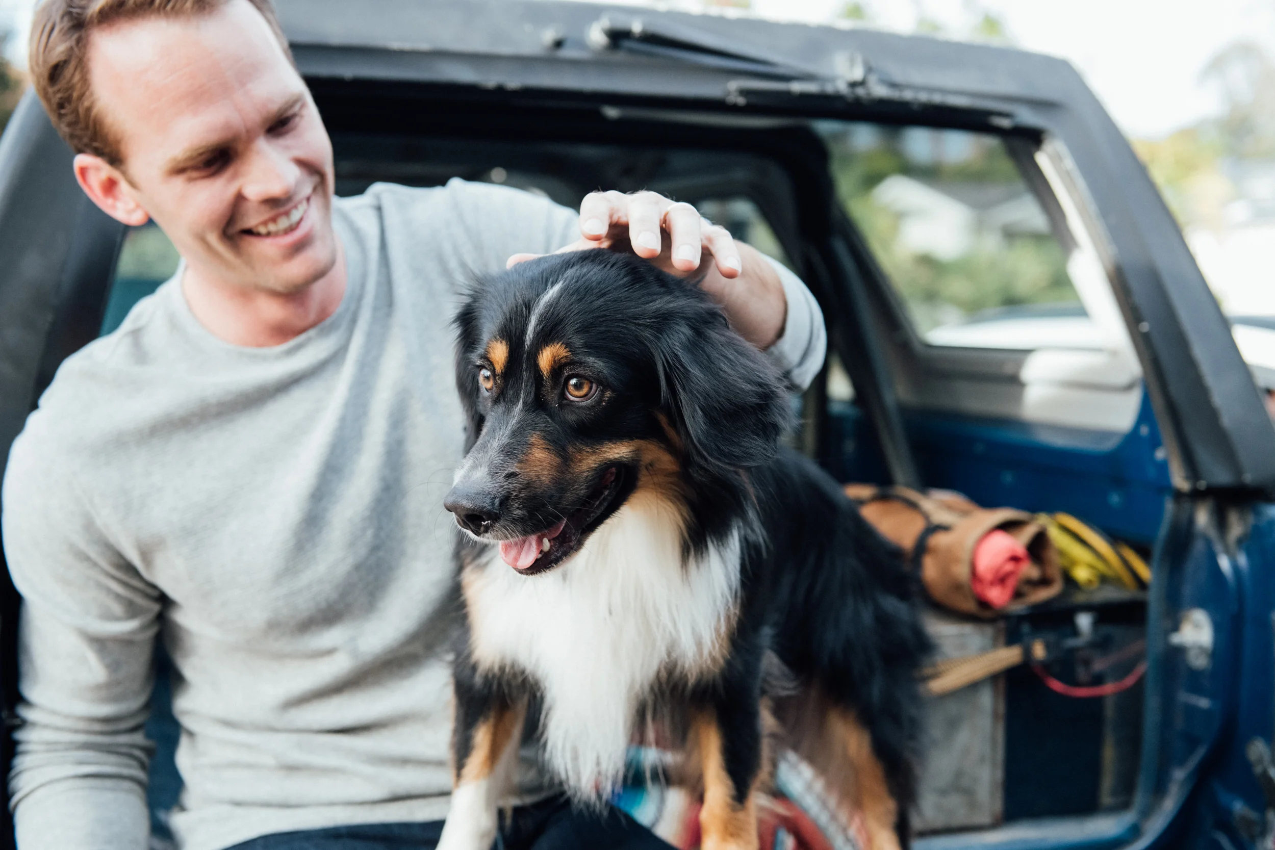20180130_HonestKitchen_3084.jpg
