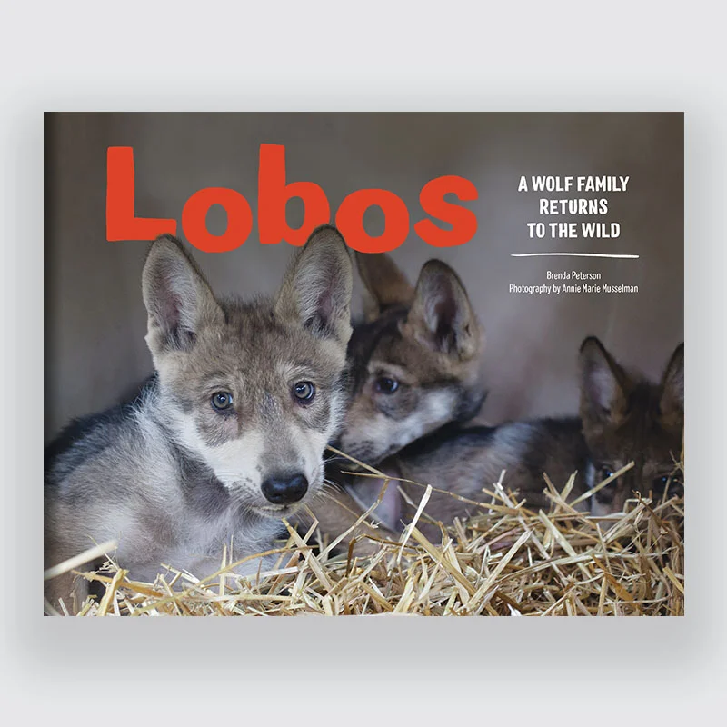 BookCover_thumbLobos.jpg