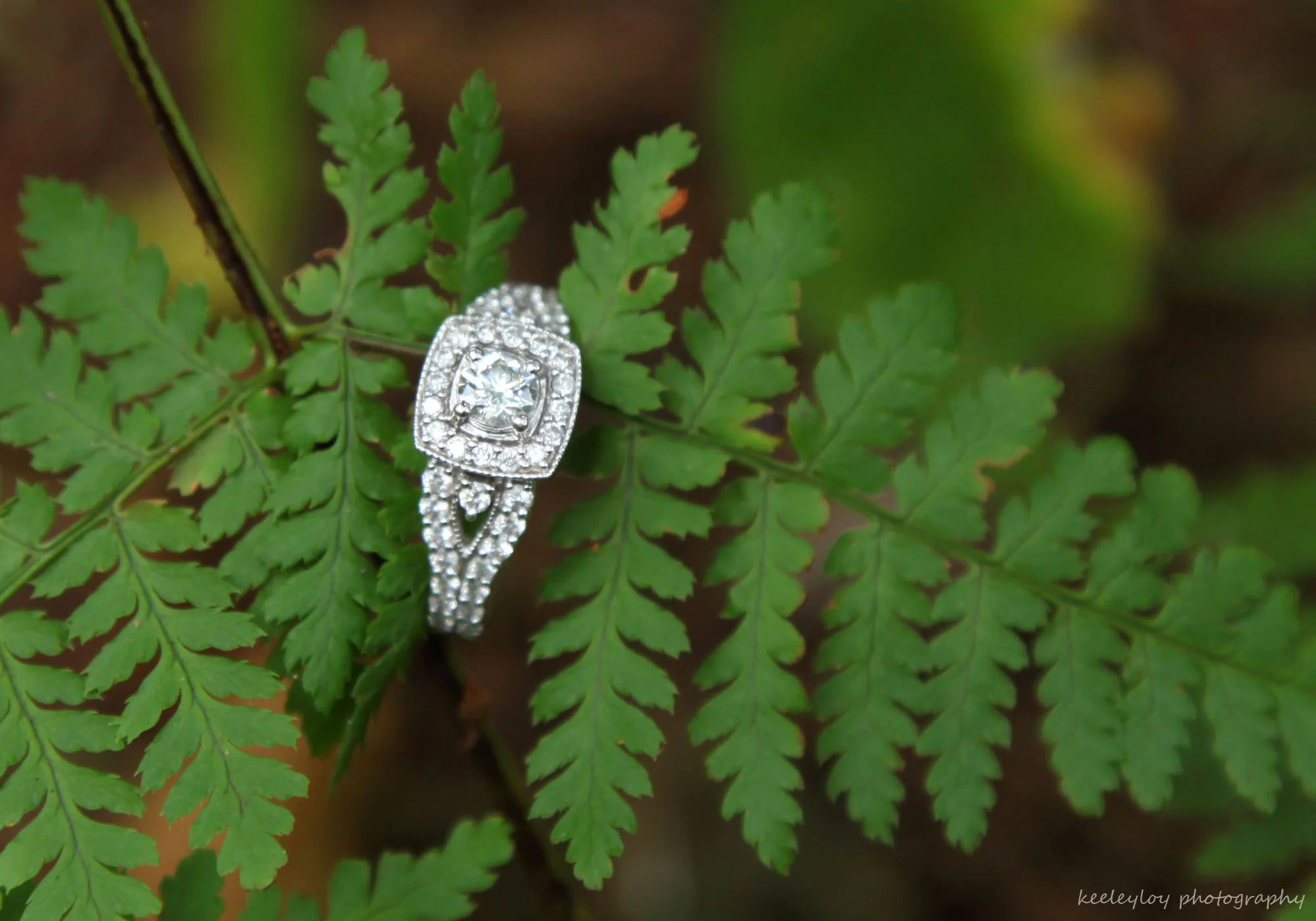 Alaina&Josh_081.jpg
