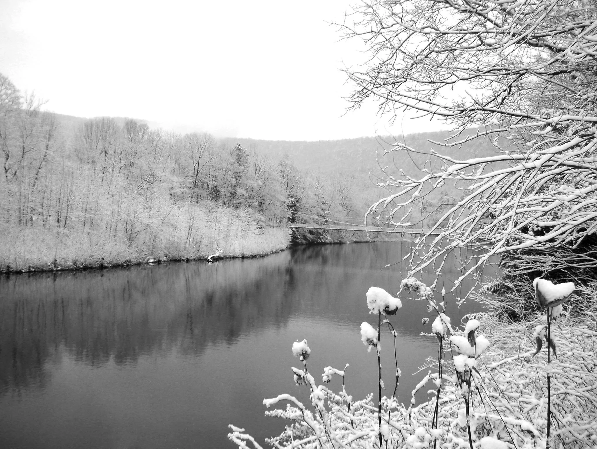 winter.jpg