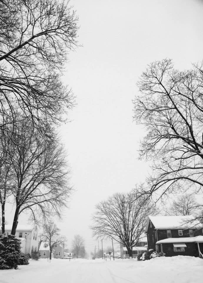 snow.jpg