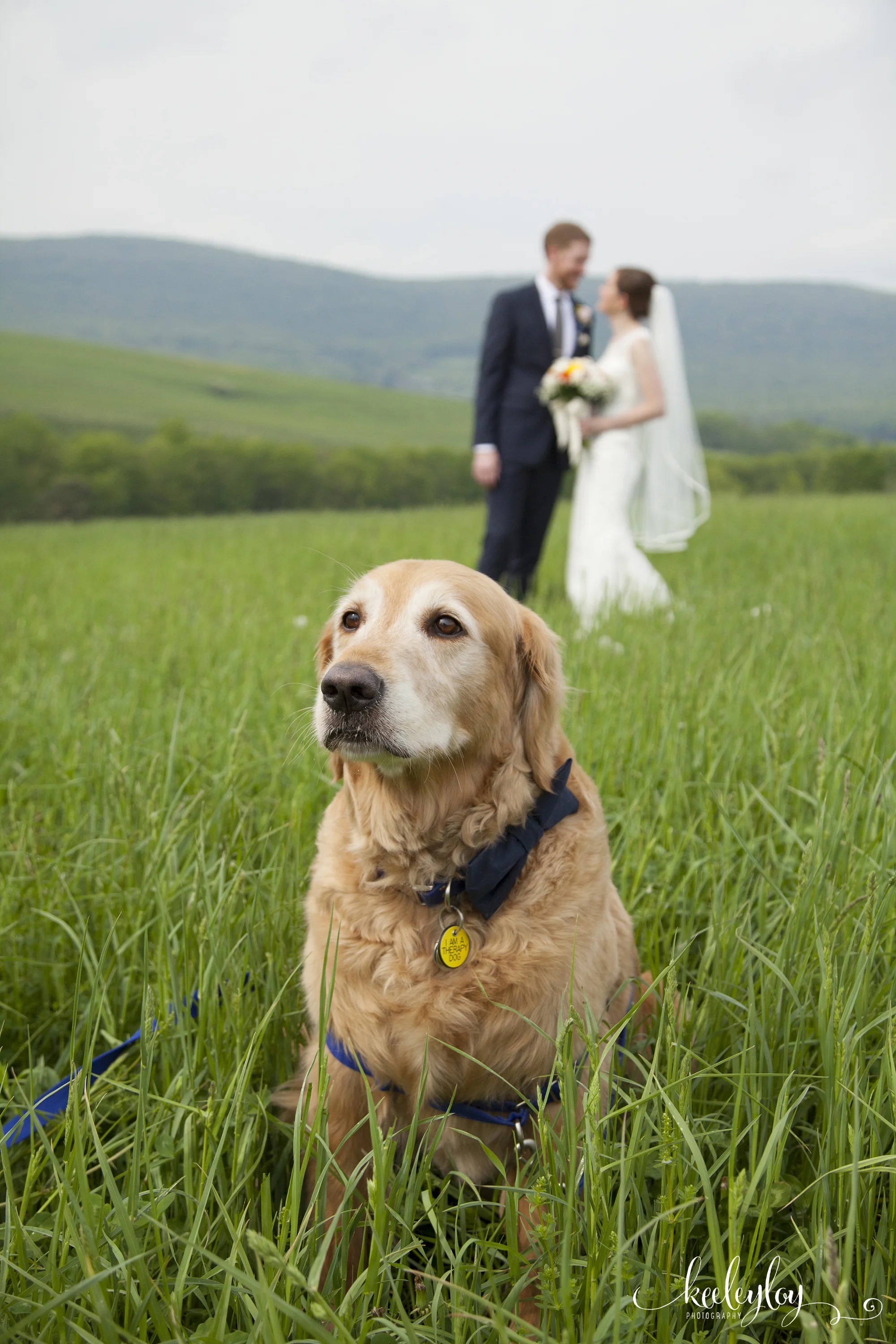 Tara & Andy_026.jpg