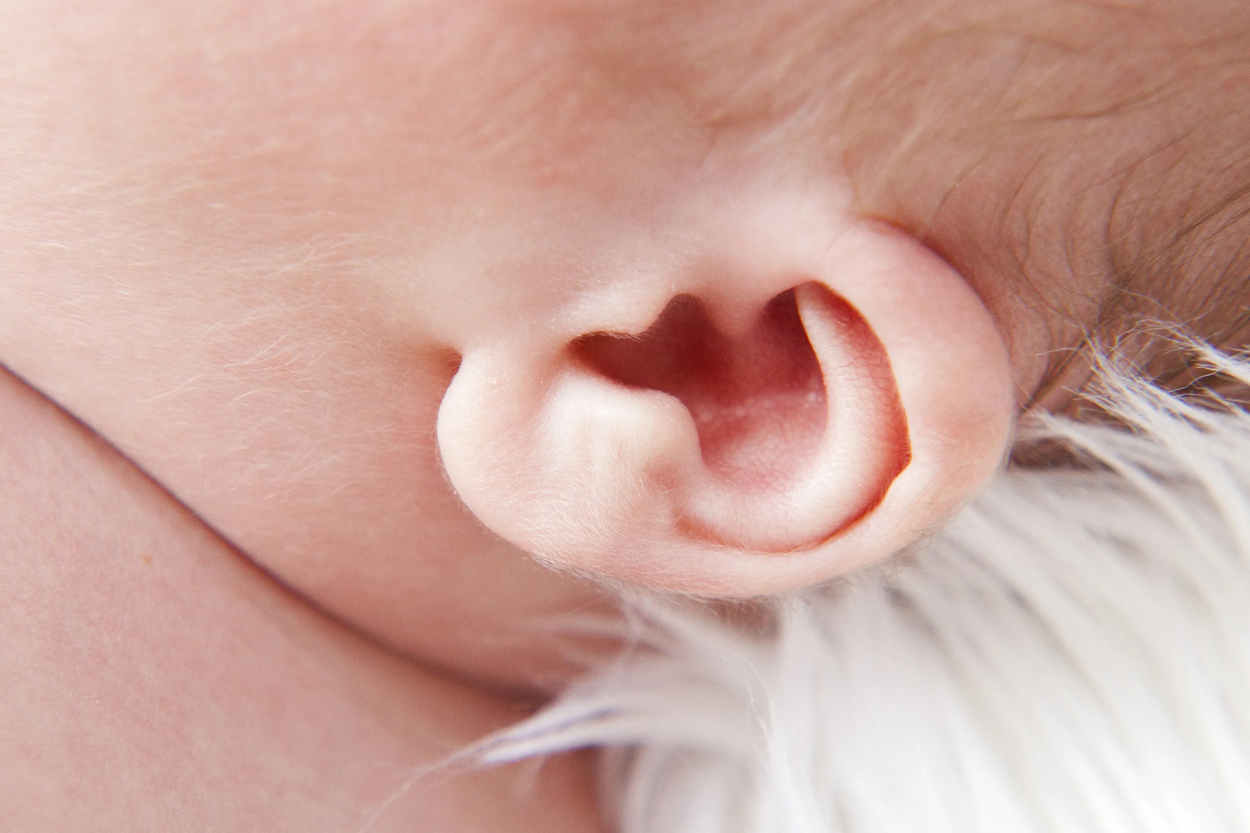 Baby Atlas_019.jpg