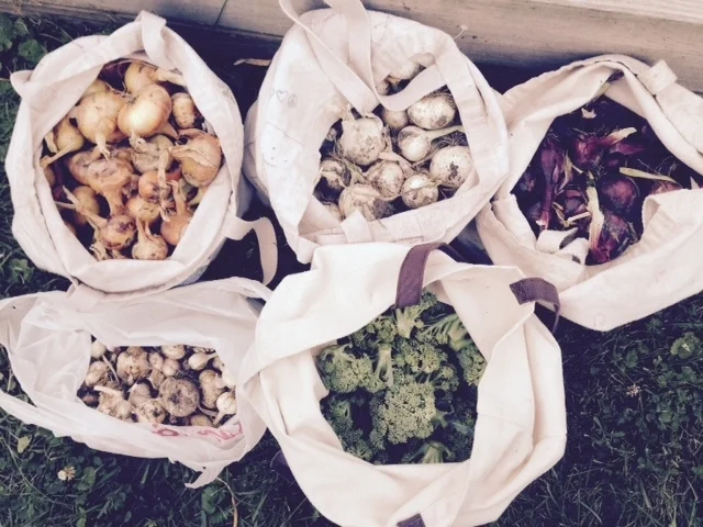 from the garden 2015