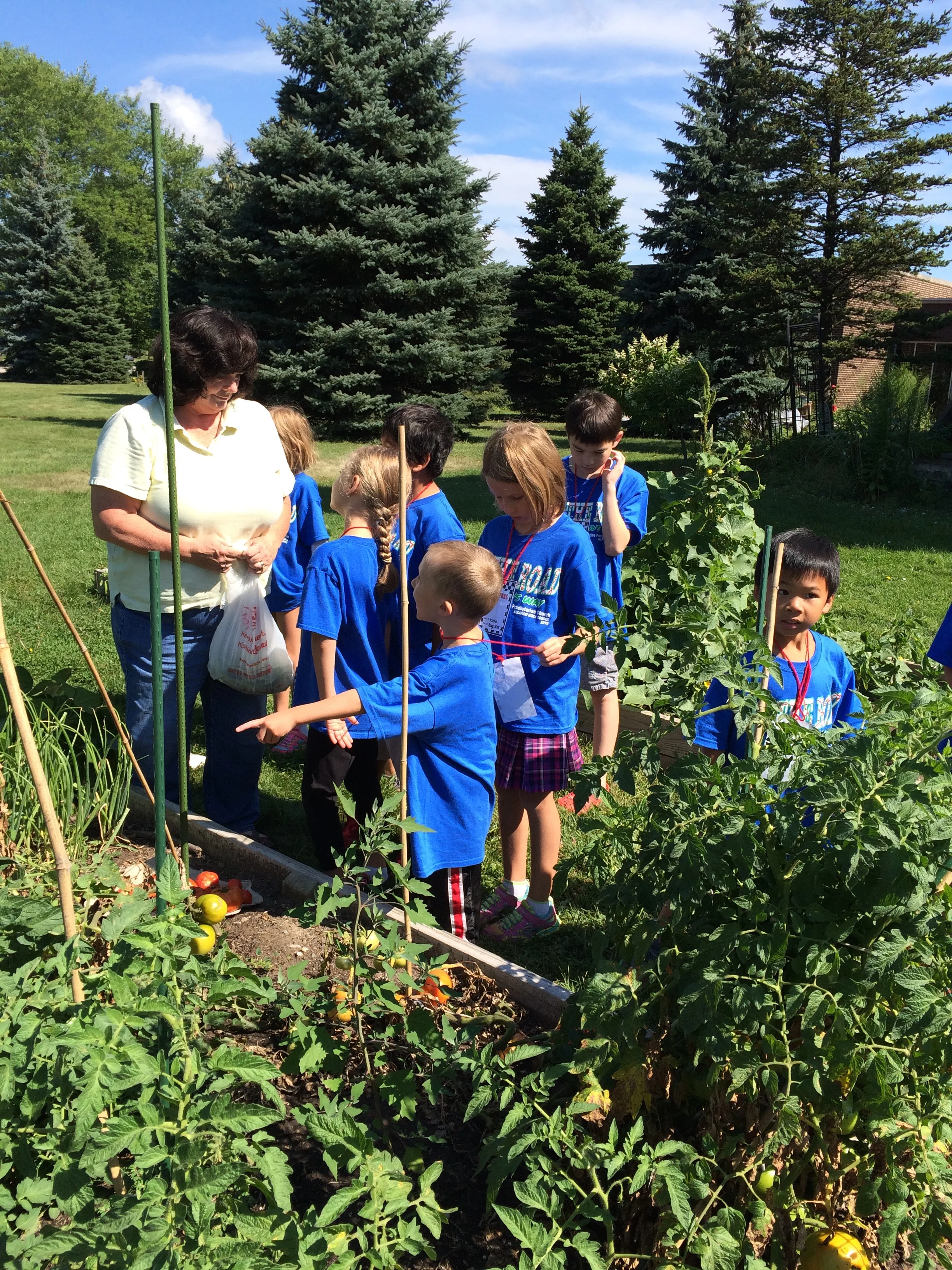 VBS 2015 garden excitement.jpg