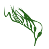 kelp_small.png