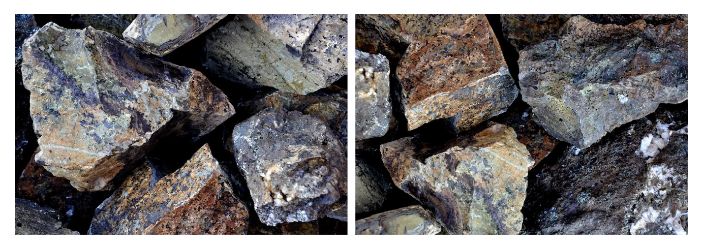 dipticos_site_força_naureza-04.png