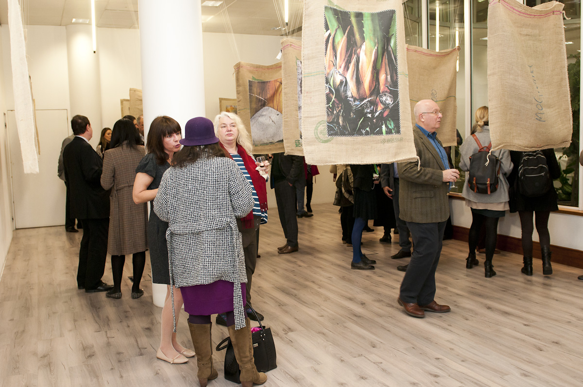 Exposição Natureza - Embaixada Brasileira de Londres, 2015