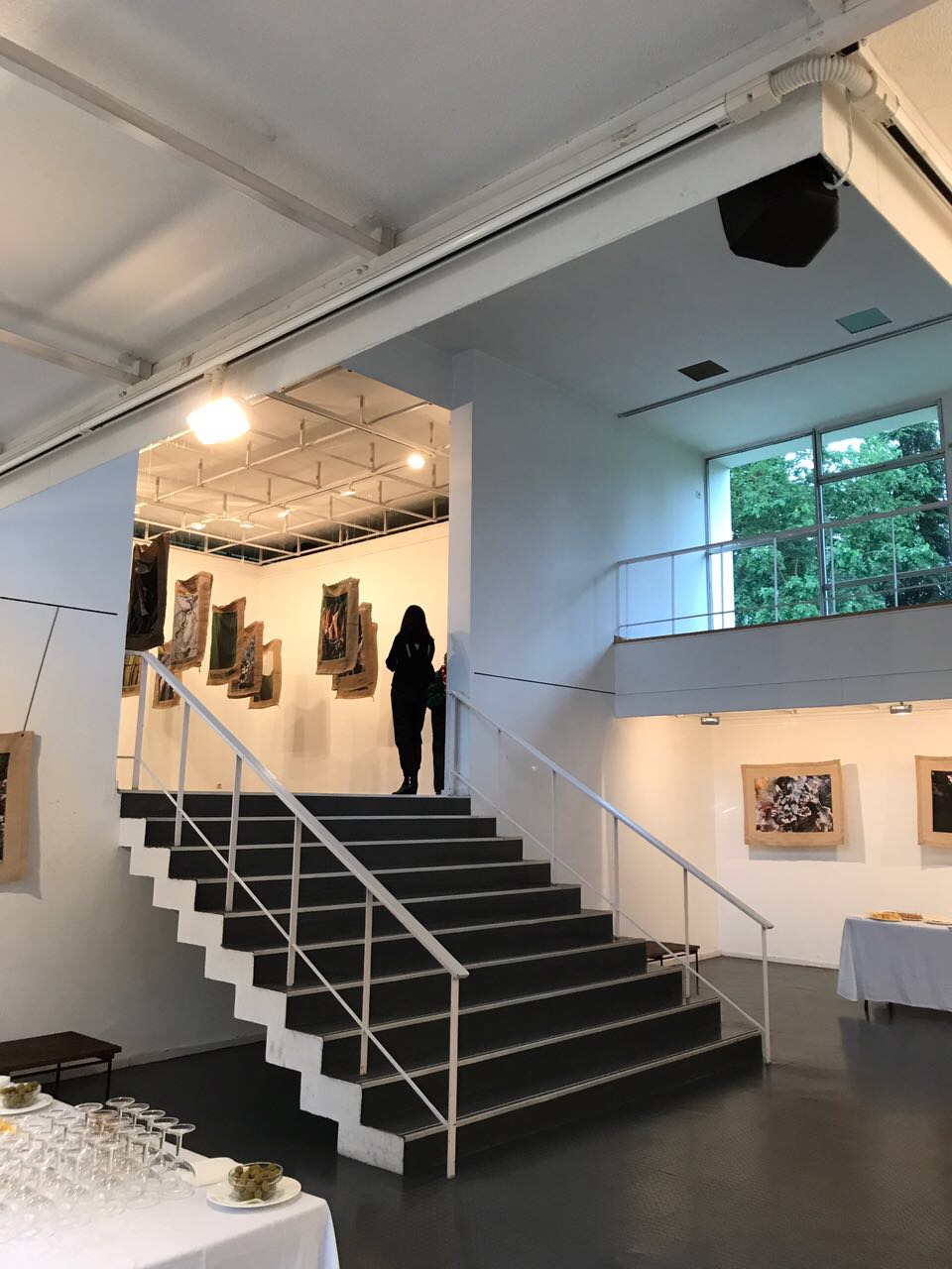 Exposição Natureza - Casa do Brasil em Madri, 2017