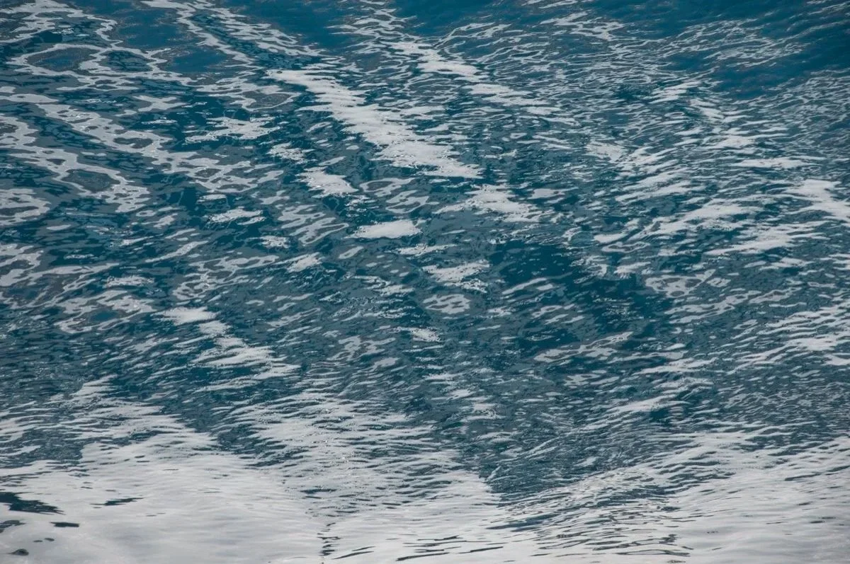 P13.jpg