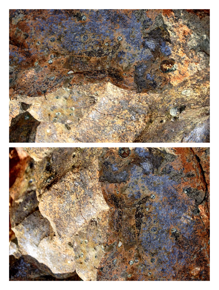 dipticos_site_forc%CC%A7a_naureza-08.png
