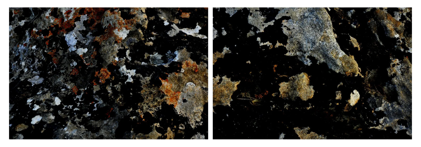 dipticos_site_força_naureza-05.png