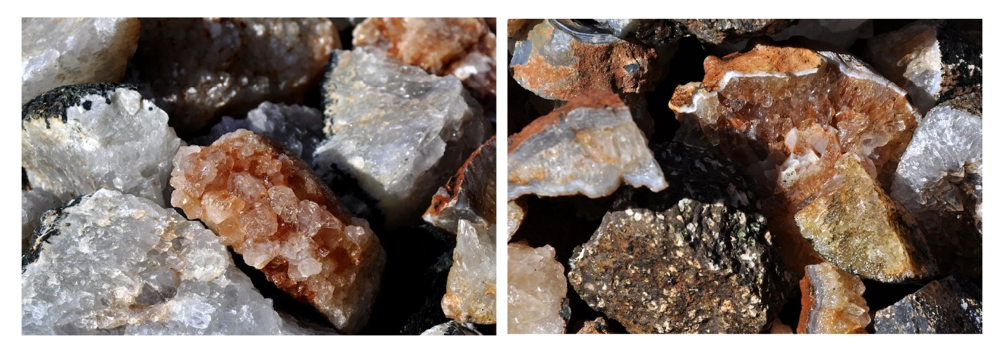 dipticos_site_força_naureza-03.png