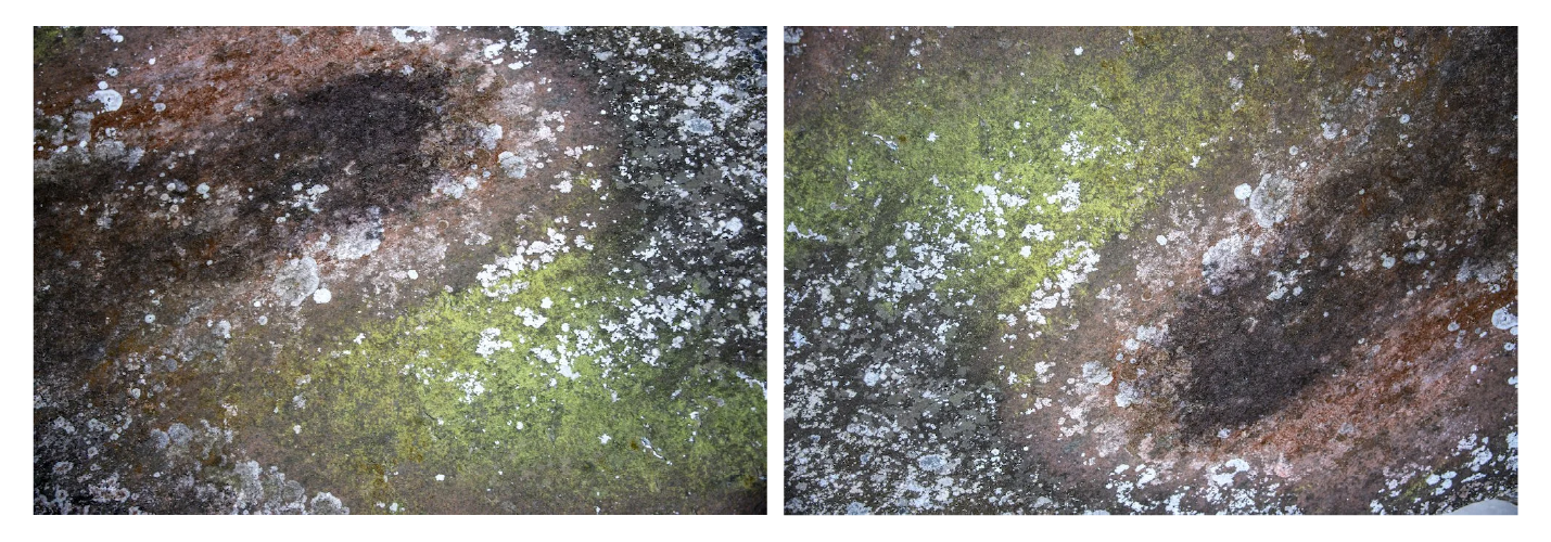 dipticos_site_força_naureza-01.png