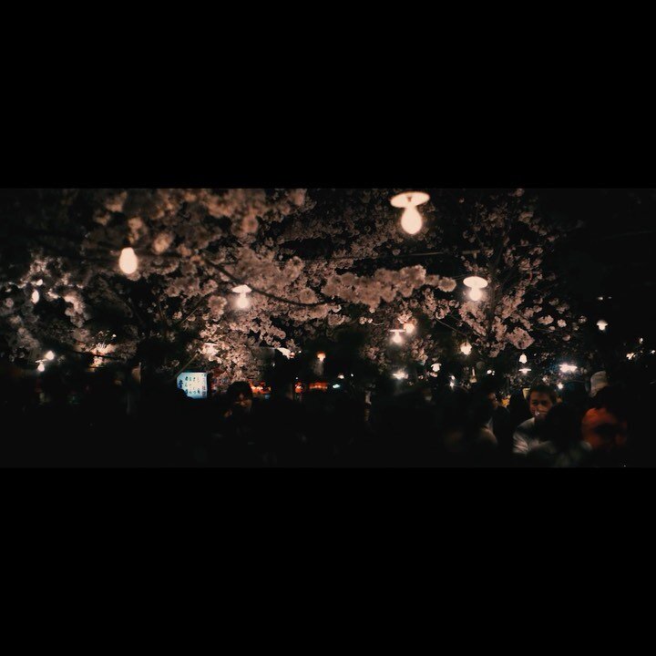 japan 04.16 - pt 8- tokyo nights
.
.
.
up now on yt.  this was the first thing I edited actually, and actually has footage from tokyo, osaka, kyoto, and hiroshima. 
.
.
.
#japan #tokyo #osaka #shibuya #night #urban #street #hiroshima #travel #cinemat