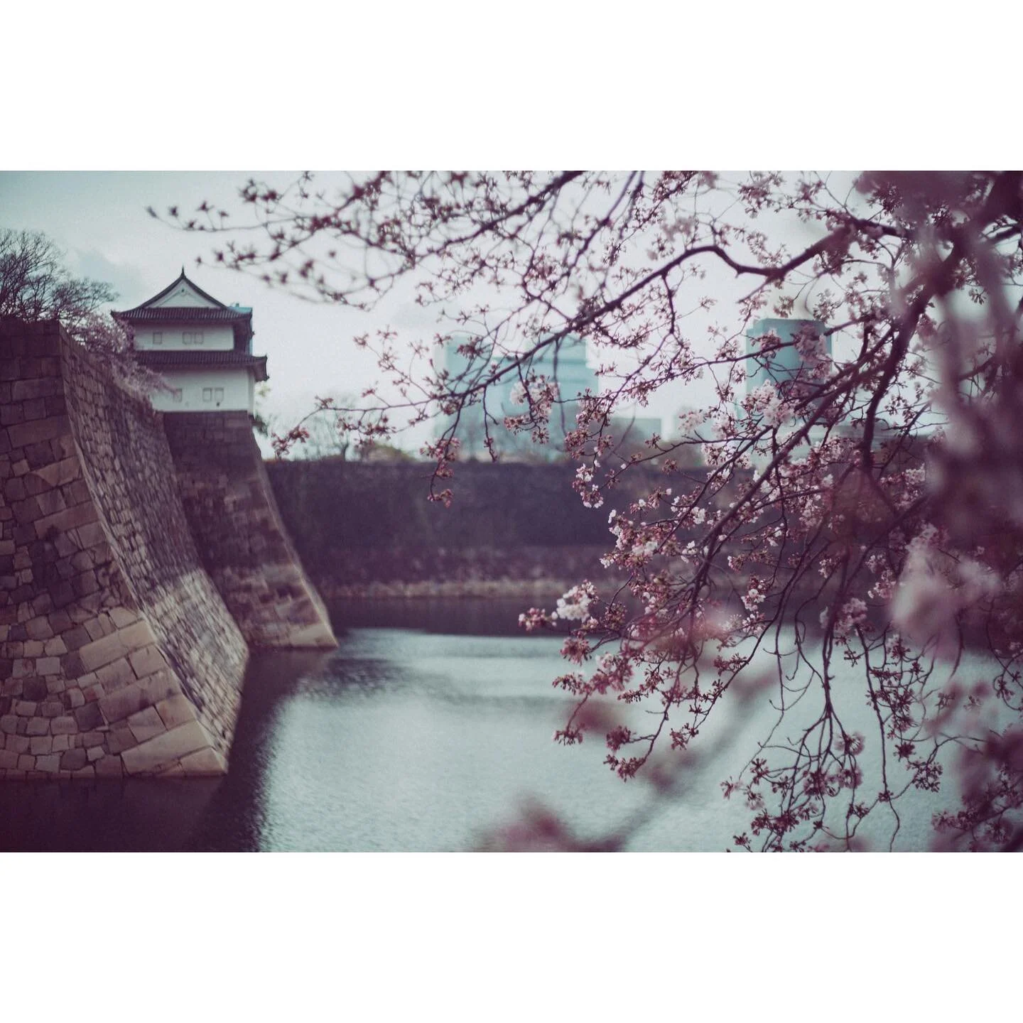 castle waters
.
.
.
#capturestreets&nbsp;#minimalzine&nbsp;#photocinematica&nbsp;#somewheremagazine&nbsp;#eyeshotmag&nbsp;#travelphotography&nbsp;#timelessstreets&nbsp;#thinkverylittle
#travelphotography&nbsp;#urbanstreetphotography&nbsp;#insidephoto