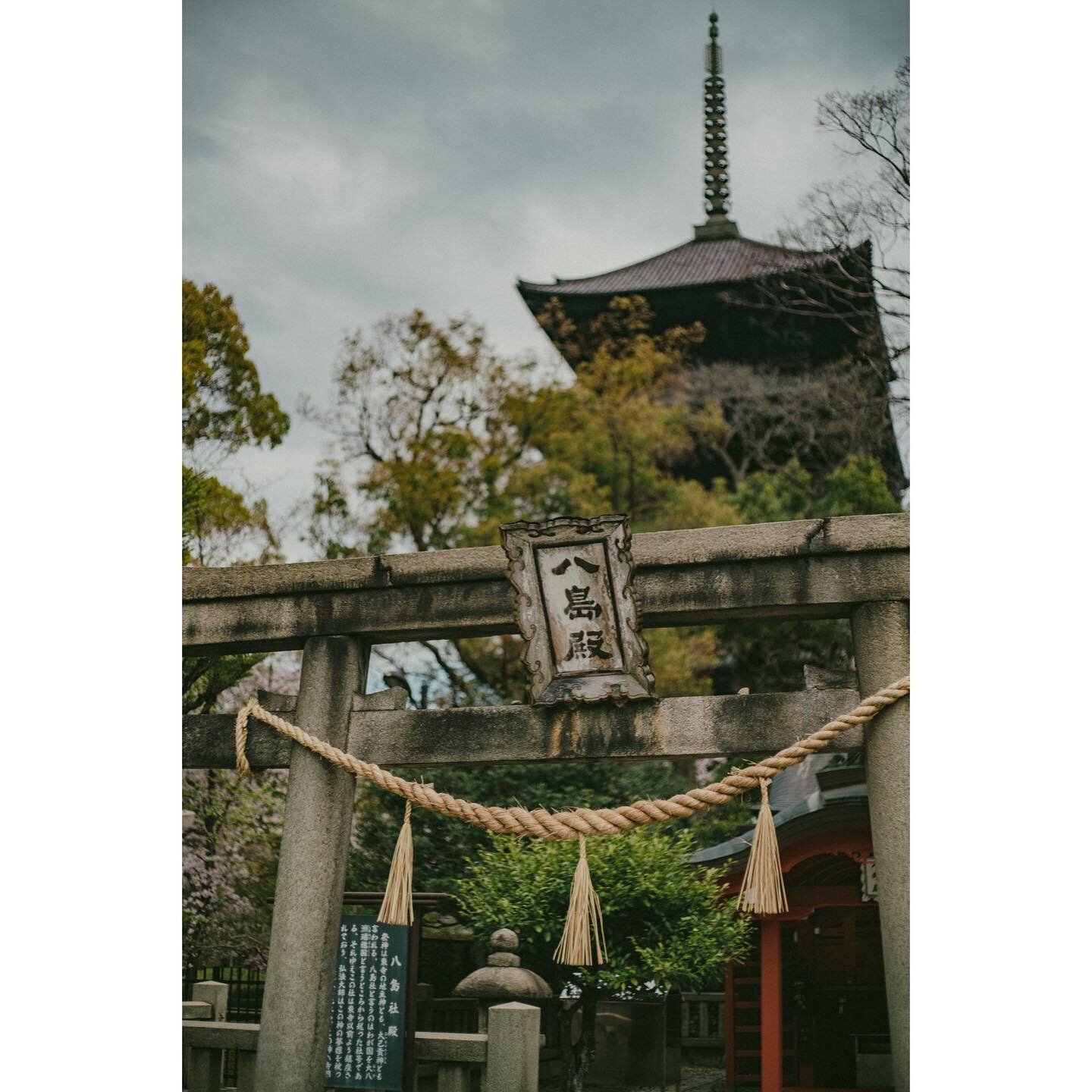 kyoto temple
.
.
.
#capturestreets&nbsp;#minimalzine&nbsp;#photocinematica&nbsp;#somewheremagazine&nbsp;#eyeshotmag&nbsp;#travelphotography&nbsp;#timelessstreets&nbsp;#thinkverylittle
#travelphotography&nbsp;#urbanstreetphotography&nbsp;#insidephotos