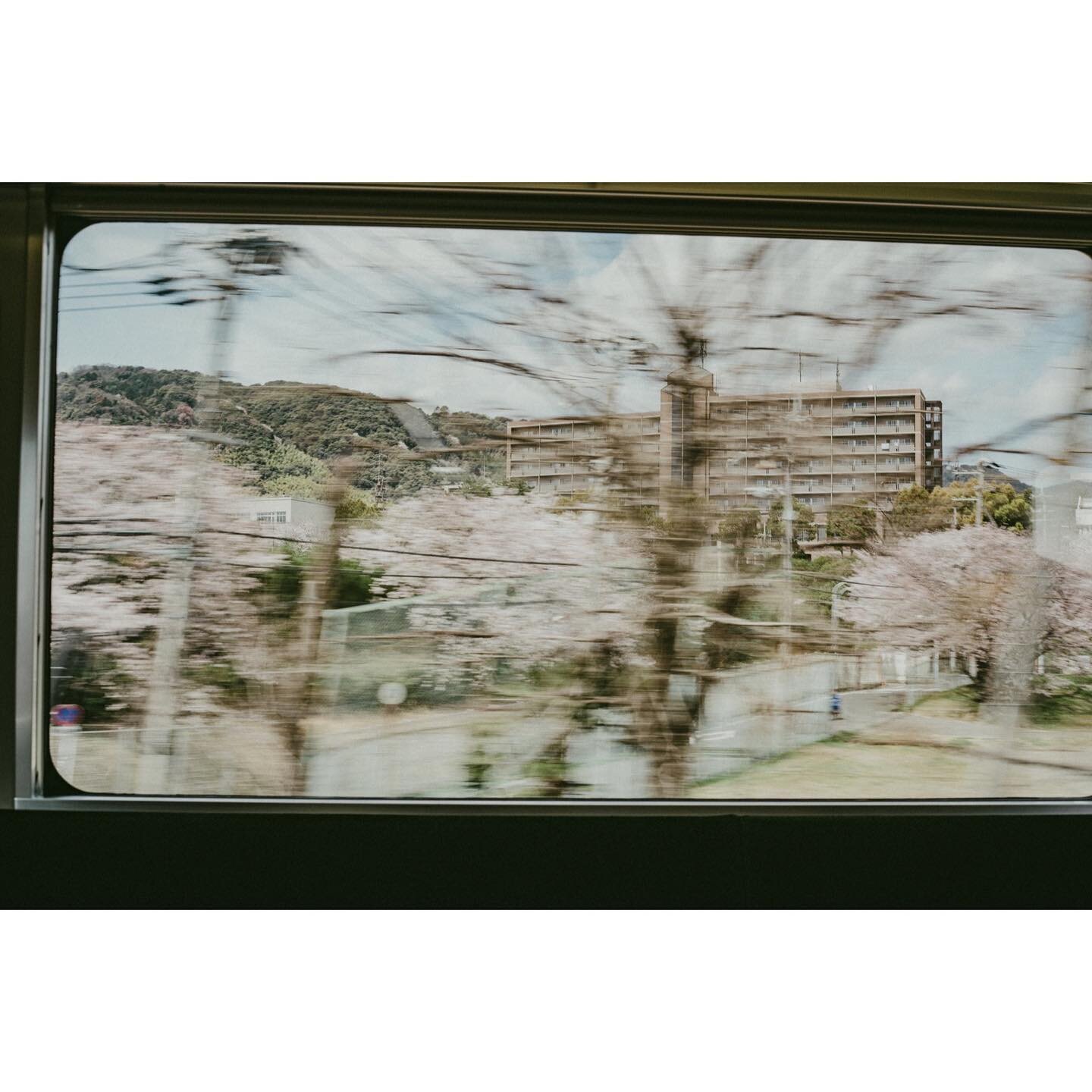 kyoto haze
.
.
.

#capturestreets&nbsp;#minimalzine&nbsp;#photocinematica&nbsp;#somewheremagazine&nbsp;#eyeshotmag&nbsp;#travelphotography&nbsp;#timelessstreets&nbsp;#thinkverylittle
#travelphotography&nbsp;#urbanstreetphotography&nbsp;#insidephotos
