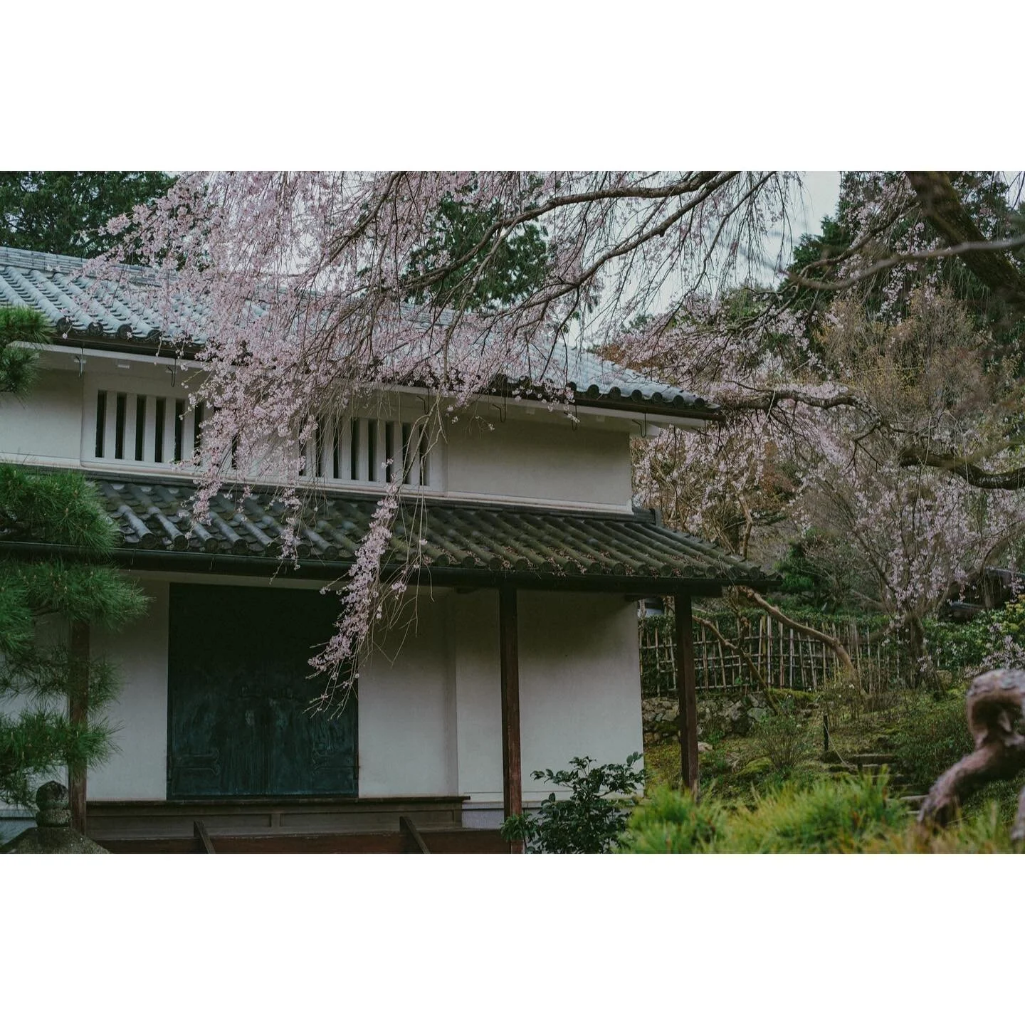 kyoto details
.
.
.

#capturestreets&nbsp;#minimalzine&nbsp;#photocinematica&nbsp;#somewheremagazine&nbsp;#eyeshotmag&nbsp;#travelphotography&nbsp;#timelessstreets&nbsp;#thinkverylittle
#travelphotography&nbsp;#urbanstreetphotography&nbsp;#insidephot
