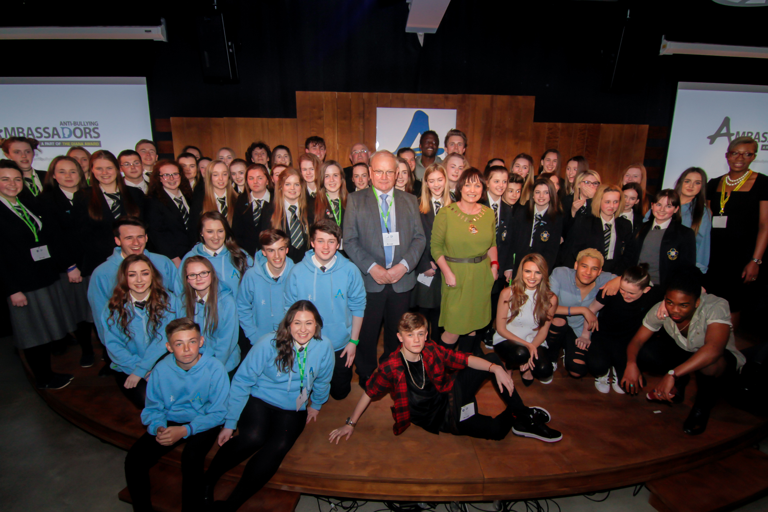 The new Anti-Bullying Ambassador- Diana Award holders