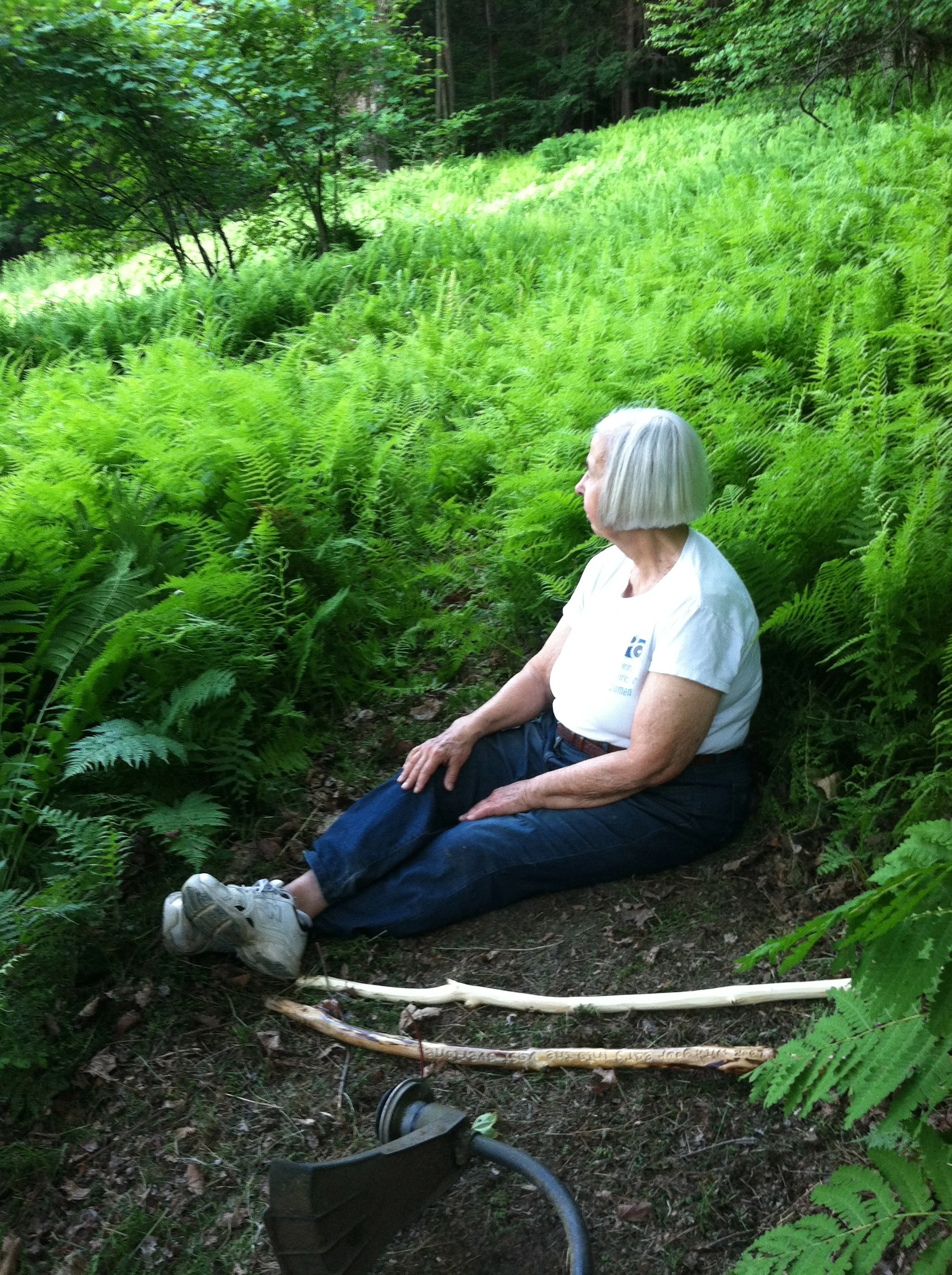 ann in ferns.jpg