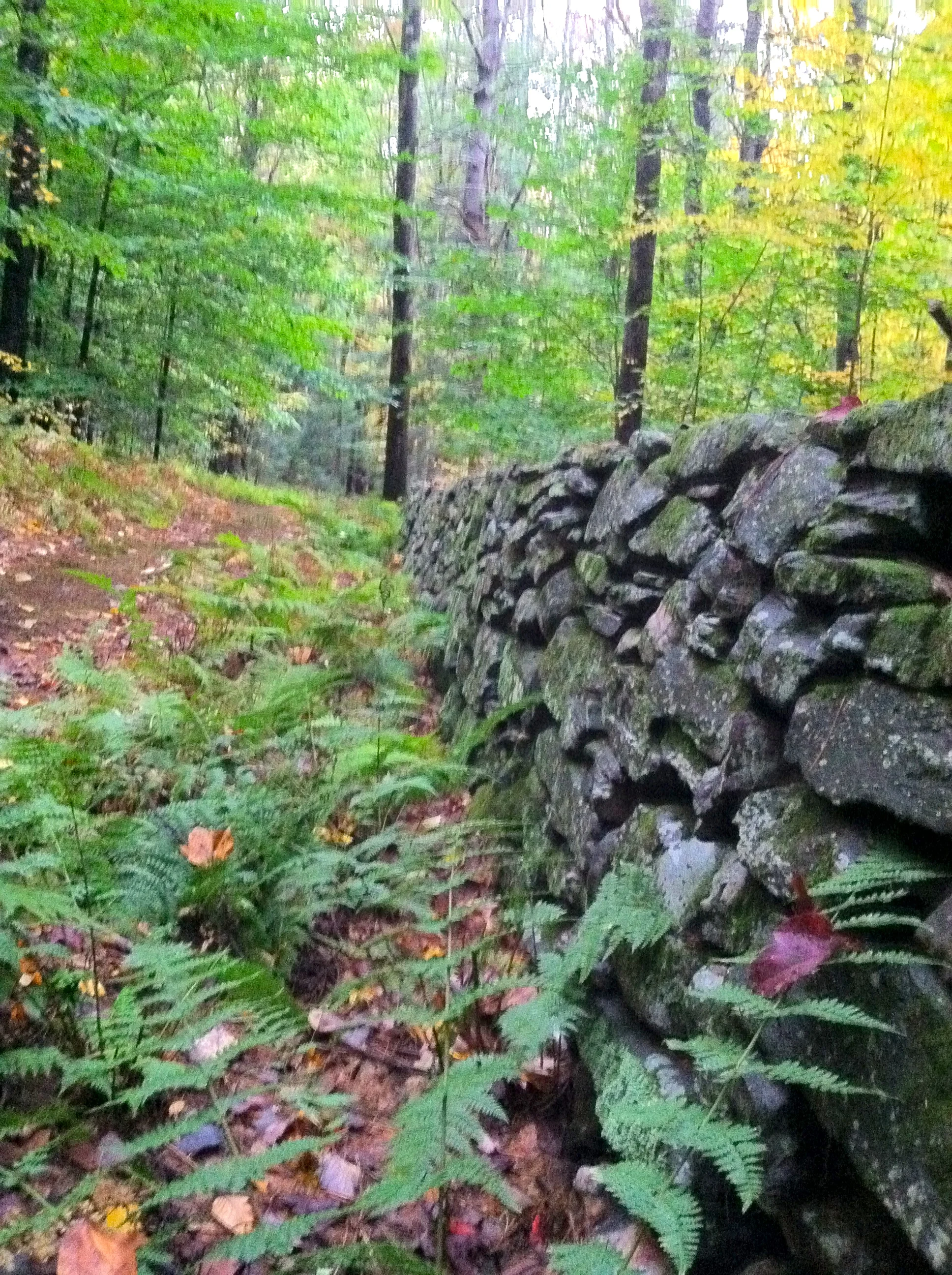 stone wall.jpg