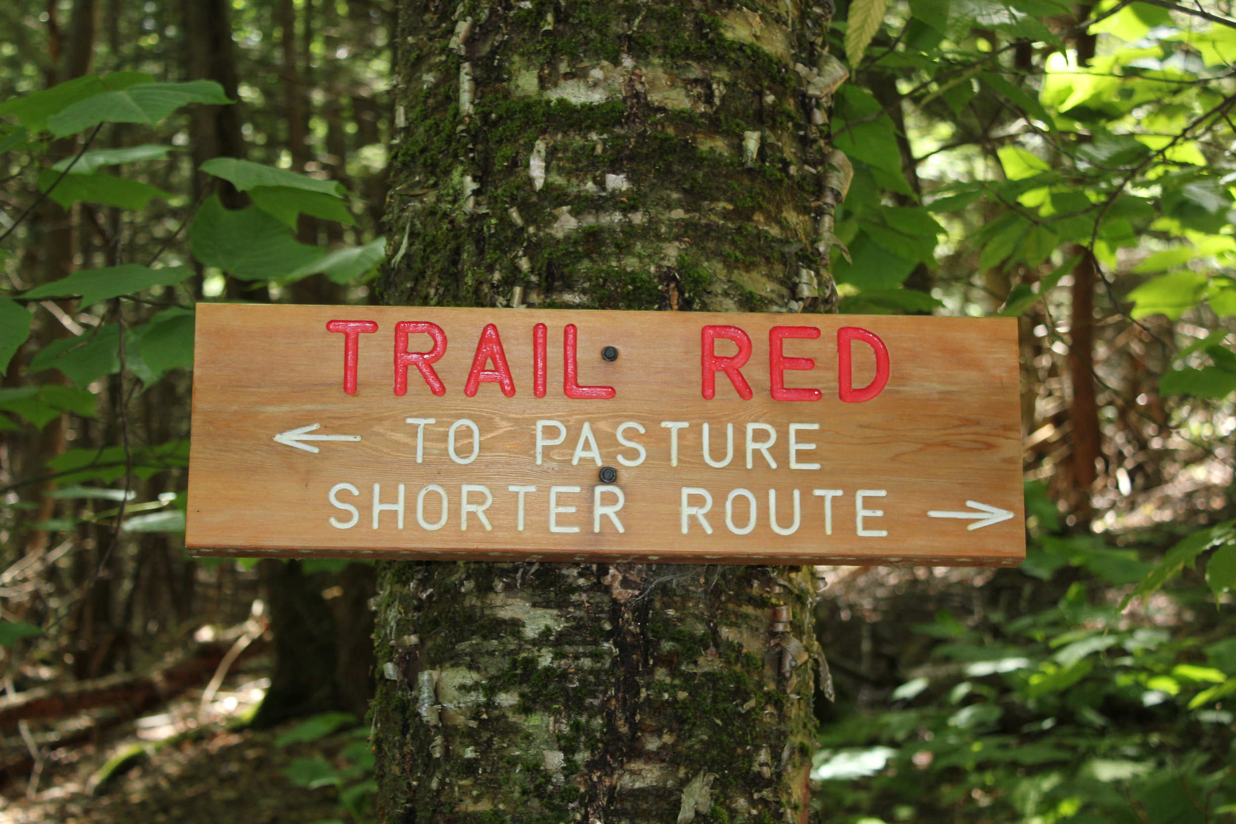red trail.jpg