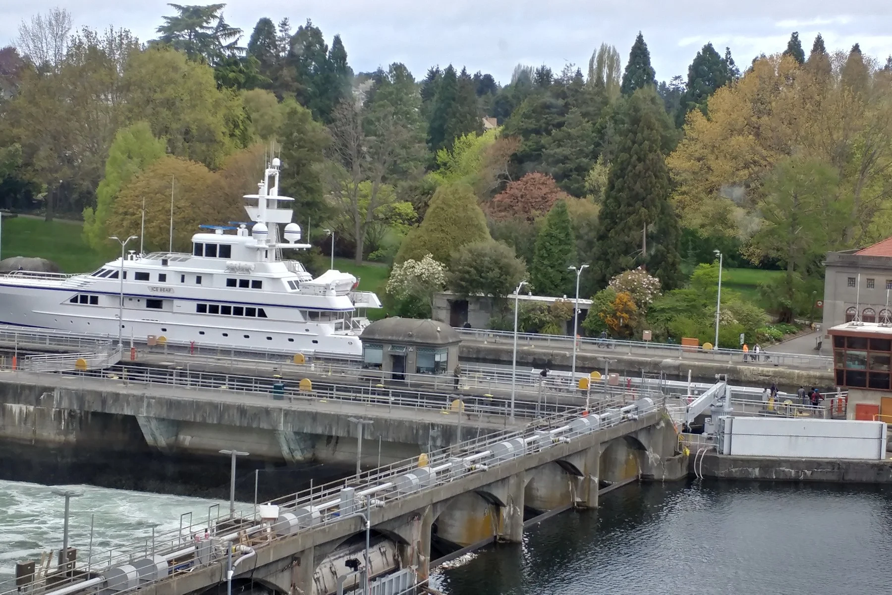 20170426_100021_HDR.jpg