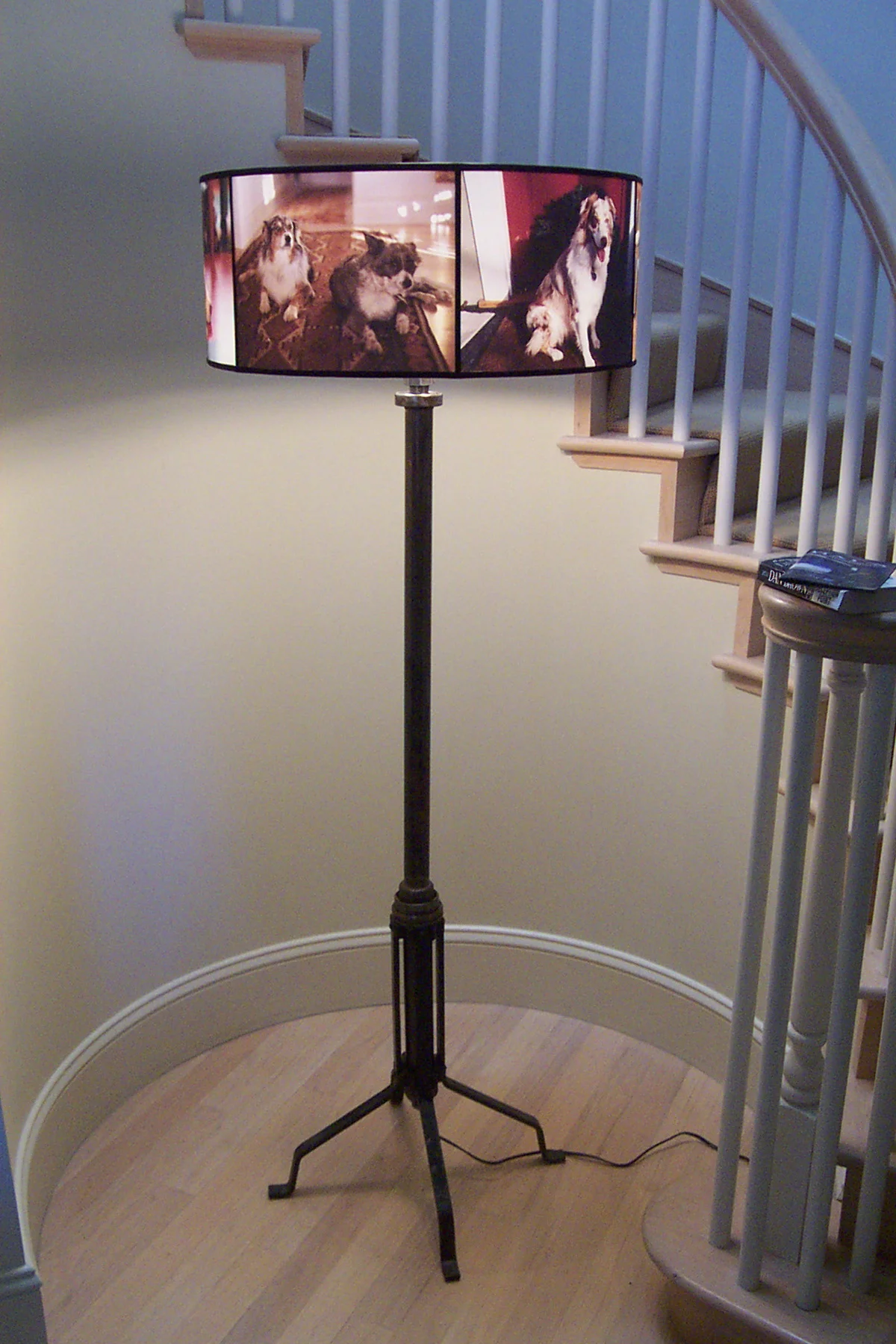 Ann Jones Interior Design