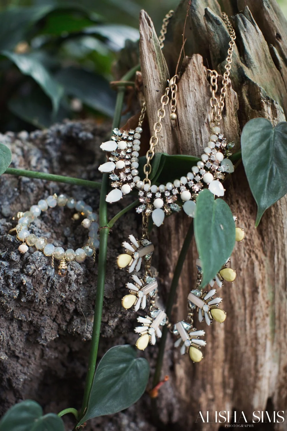 evansvilleindianaphotographer