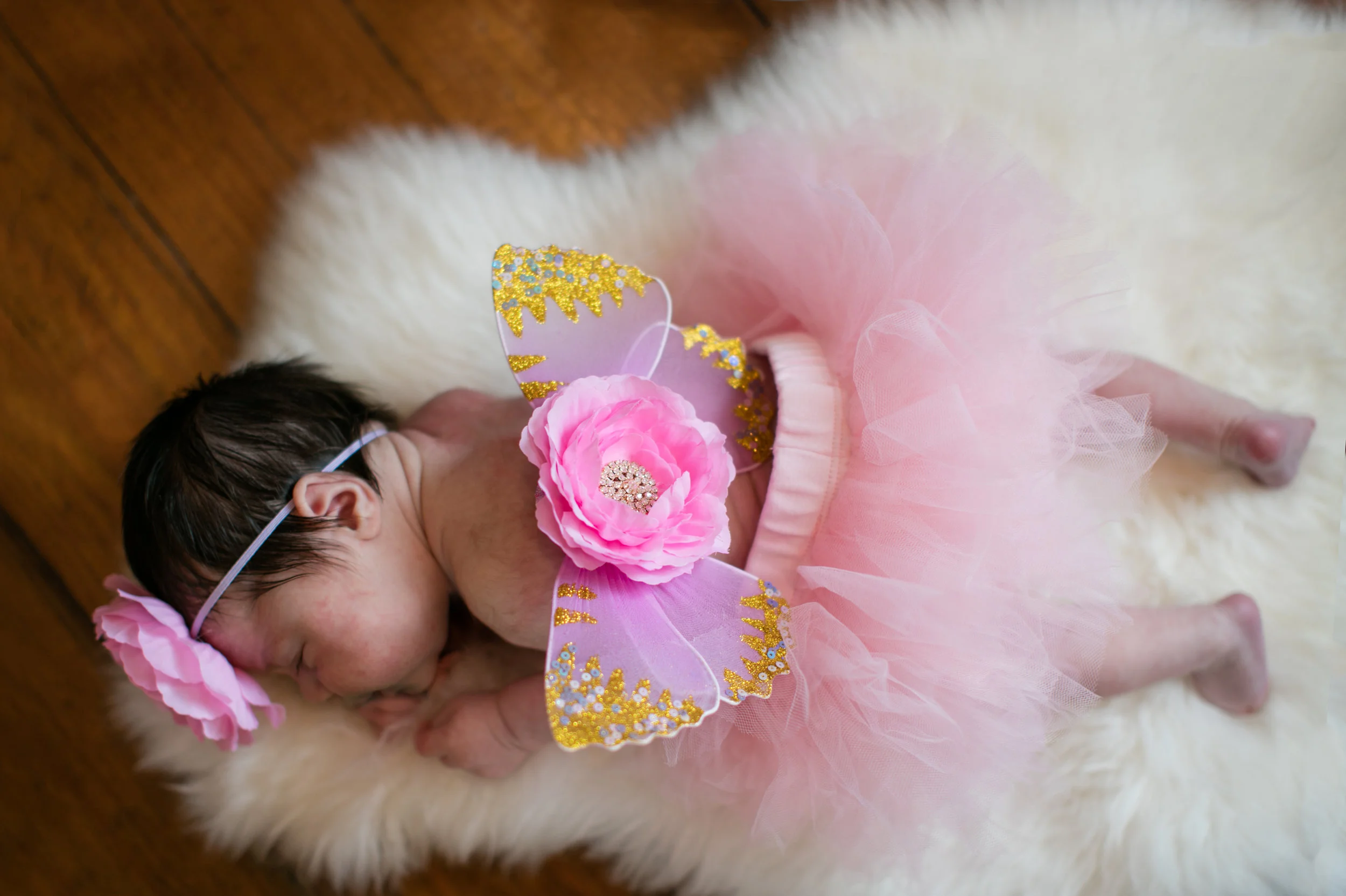 Arianna Newborn | Alisha Sims Photography