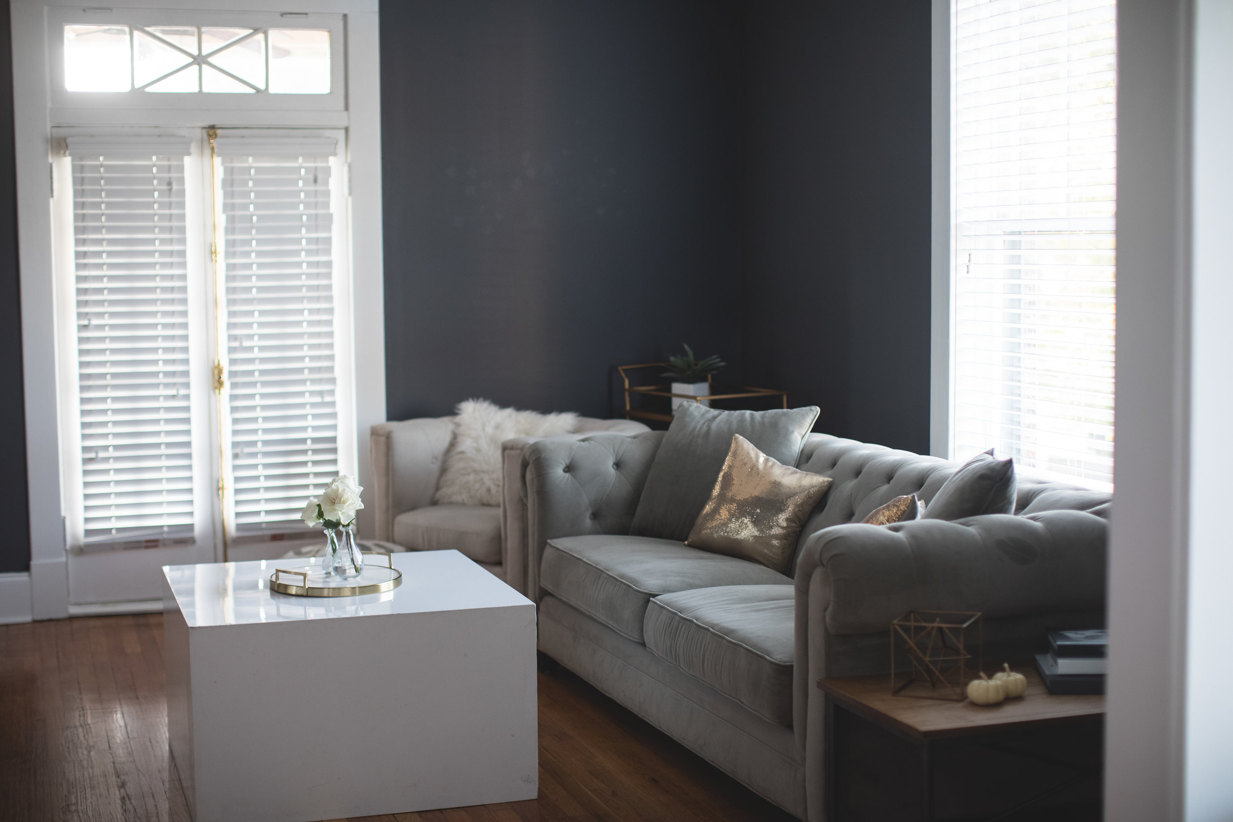 Living Room | Alisha Sims Photography
