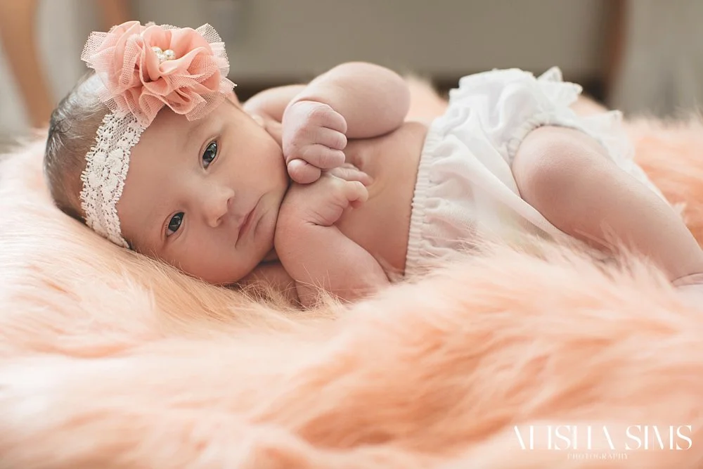 evansvilleindianaphotography.jpg