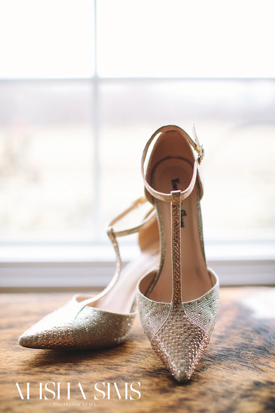 evansvilleindianaphotography.jpg
