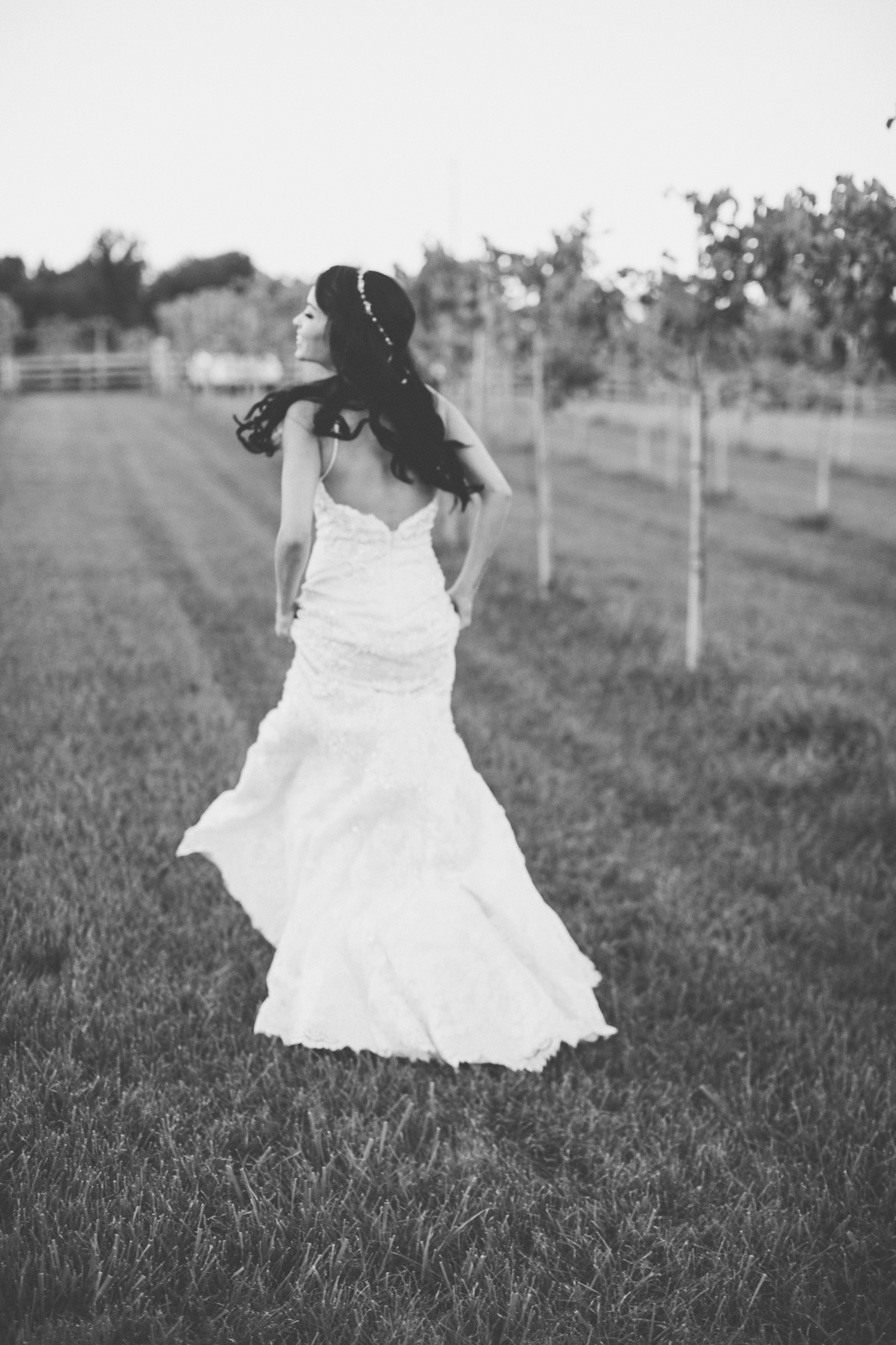 Wedding — Alisha White Photography
