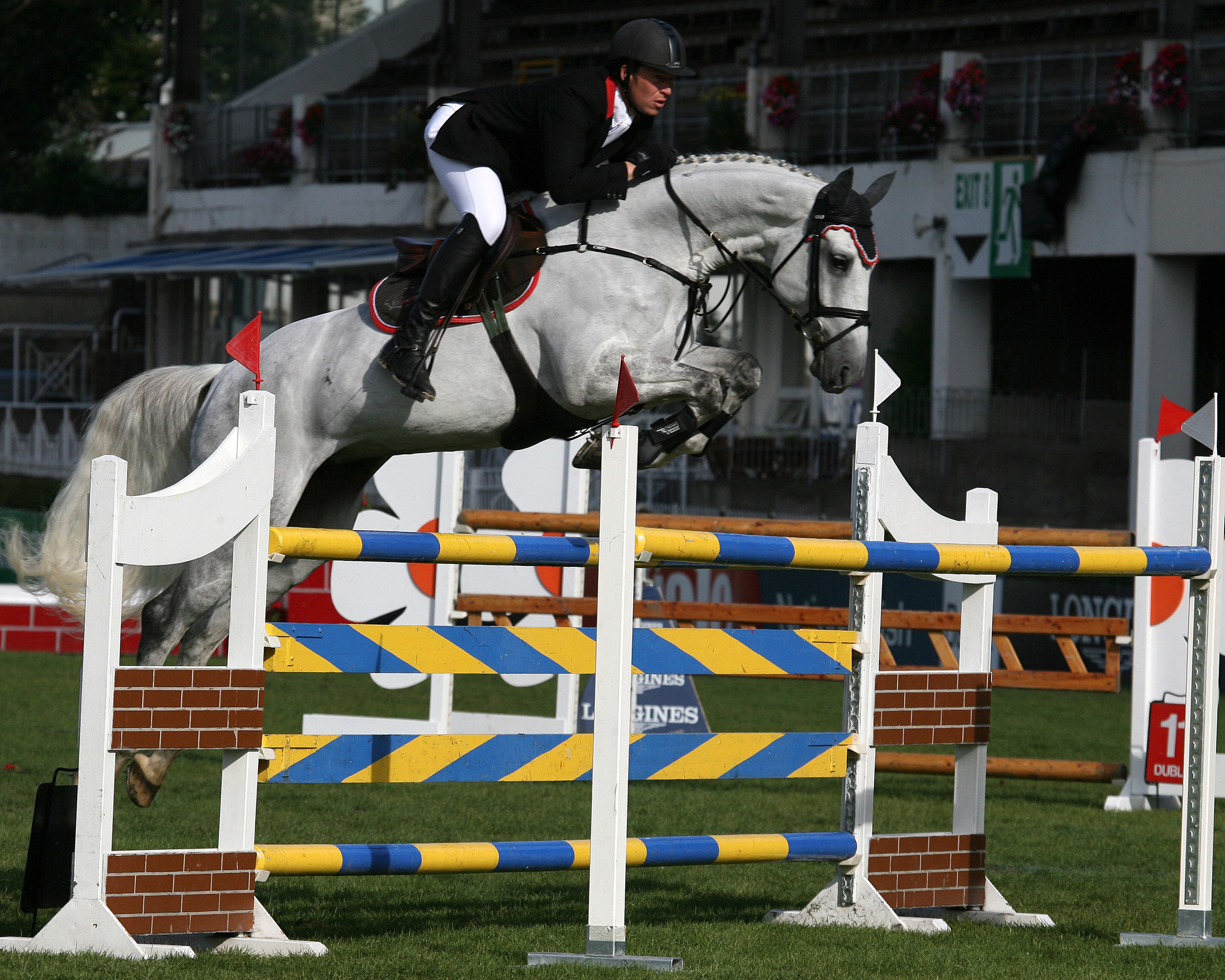 Cayetana 7 yr old Champion Dublin.jpg