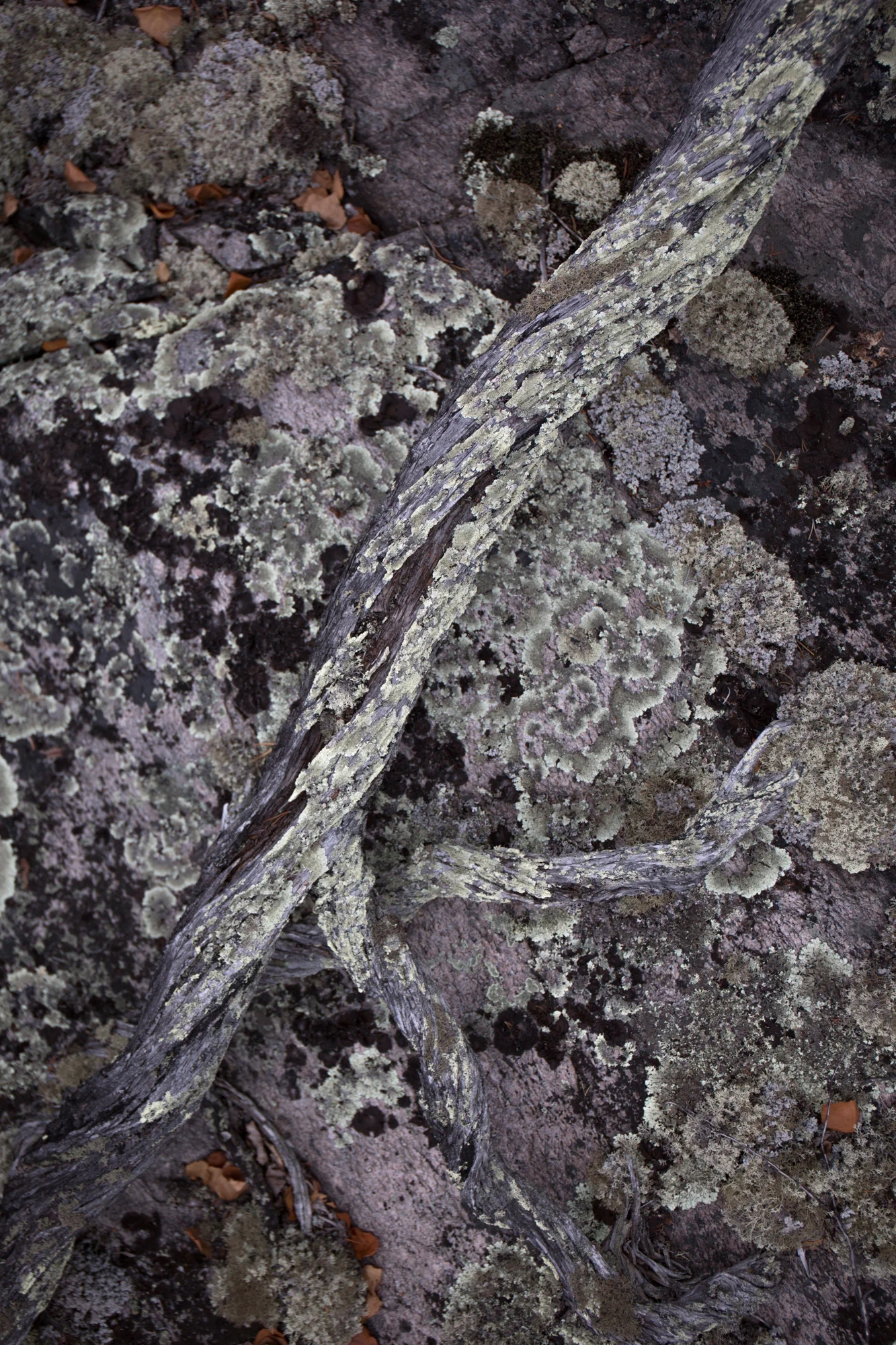 yellowknife-9122.jpg