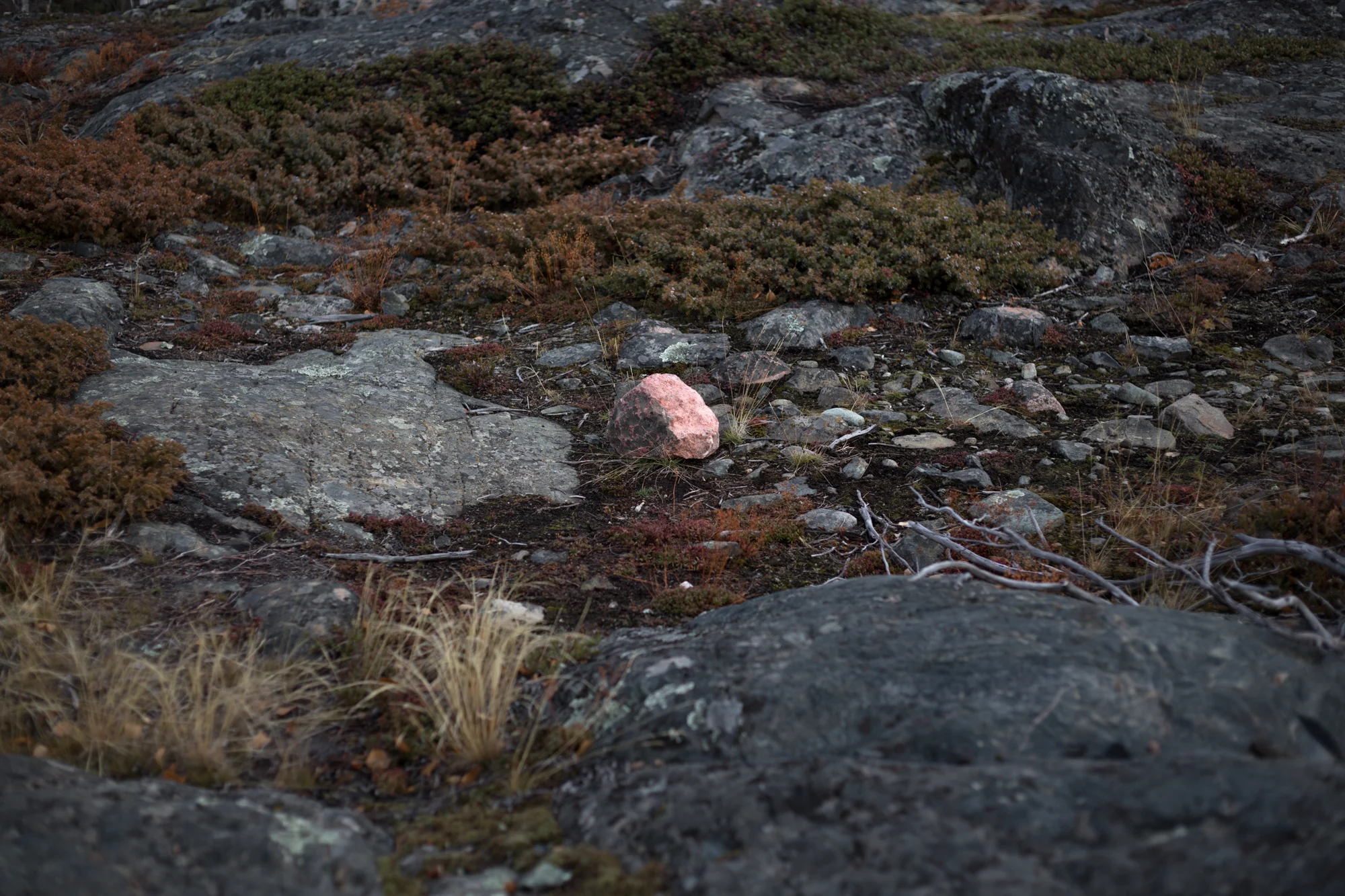 yellowknife-8699.jpg