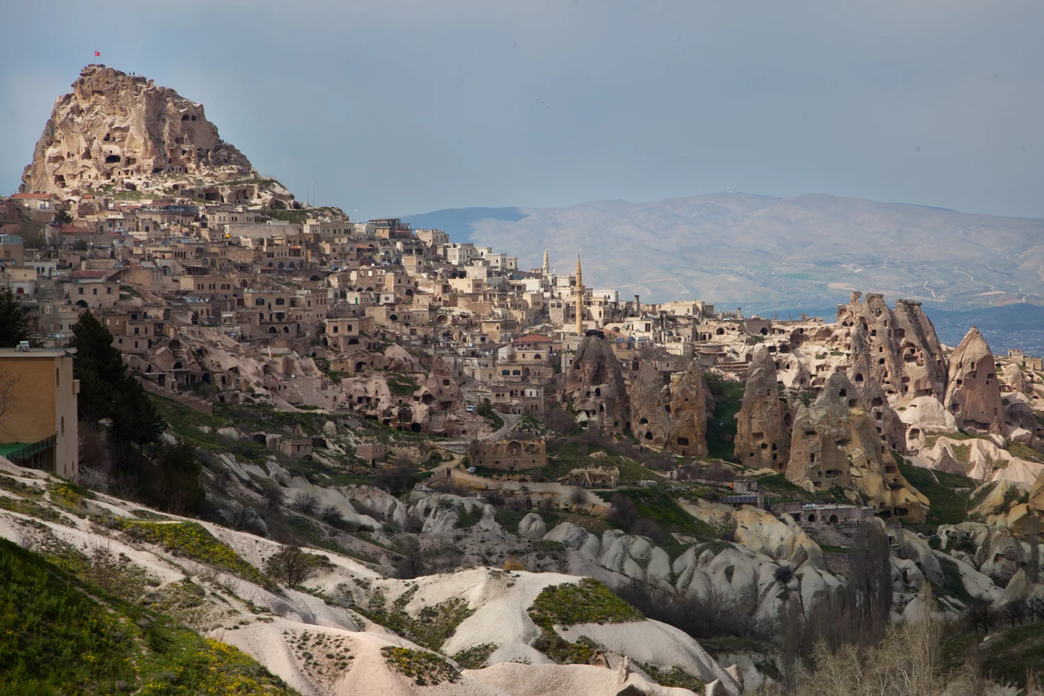 Landscape3.jpg