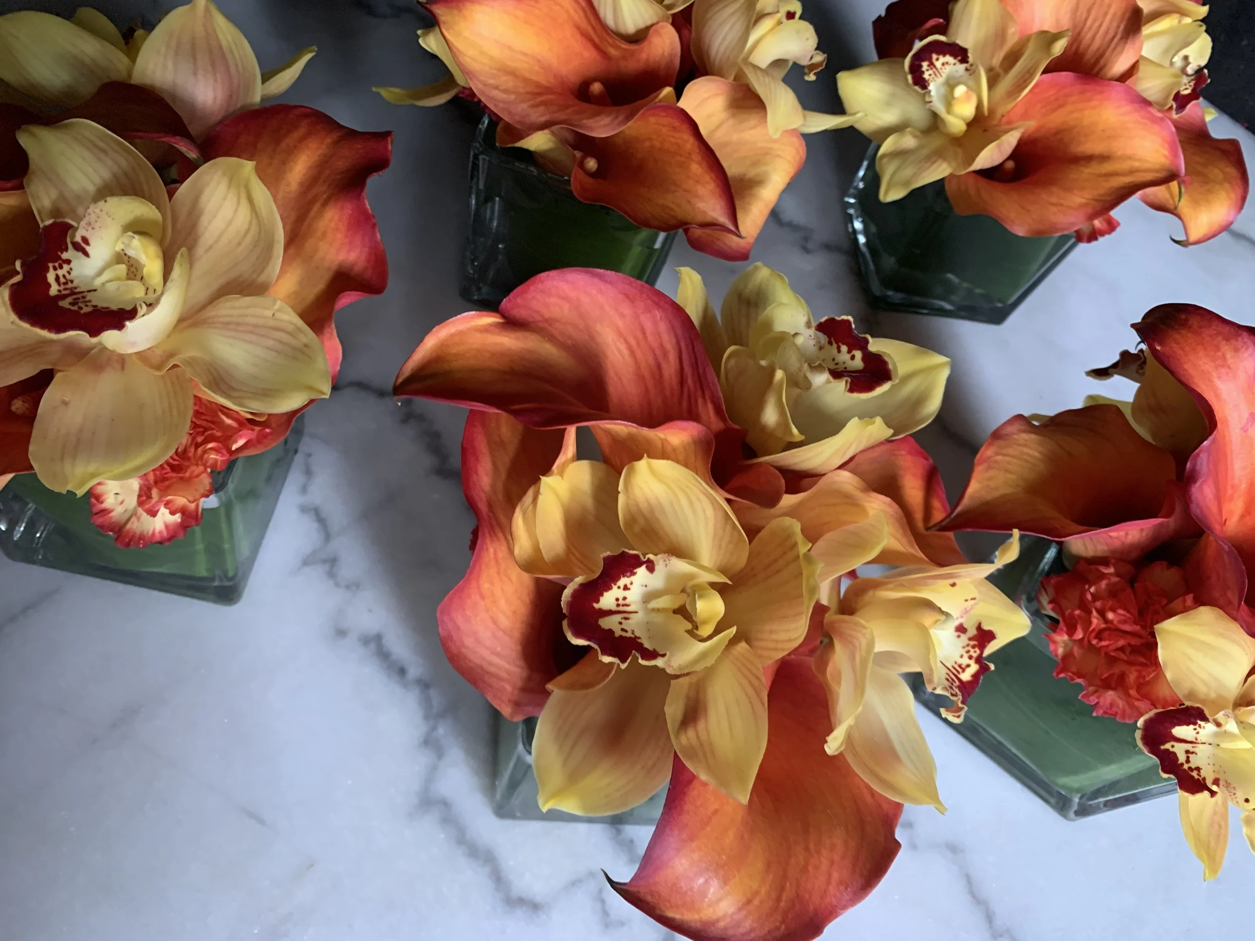 IMG_1058.jpeg (Copy)