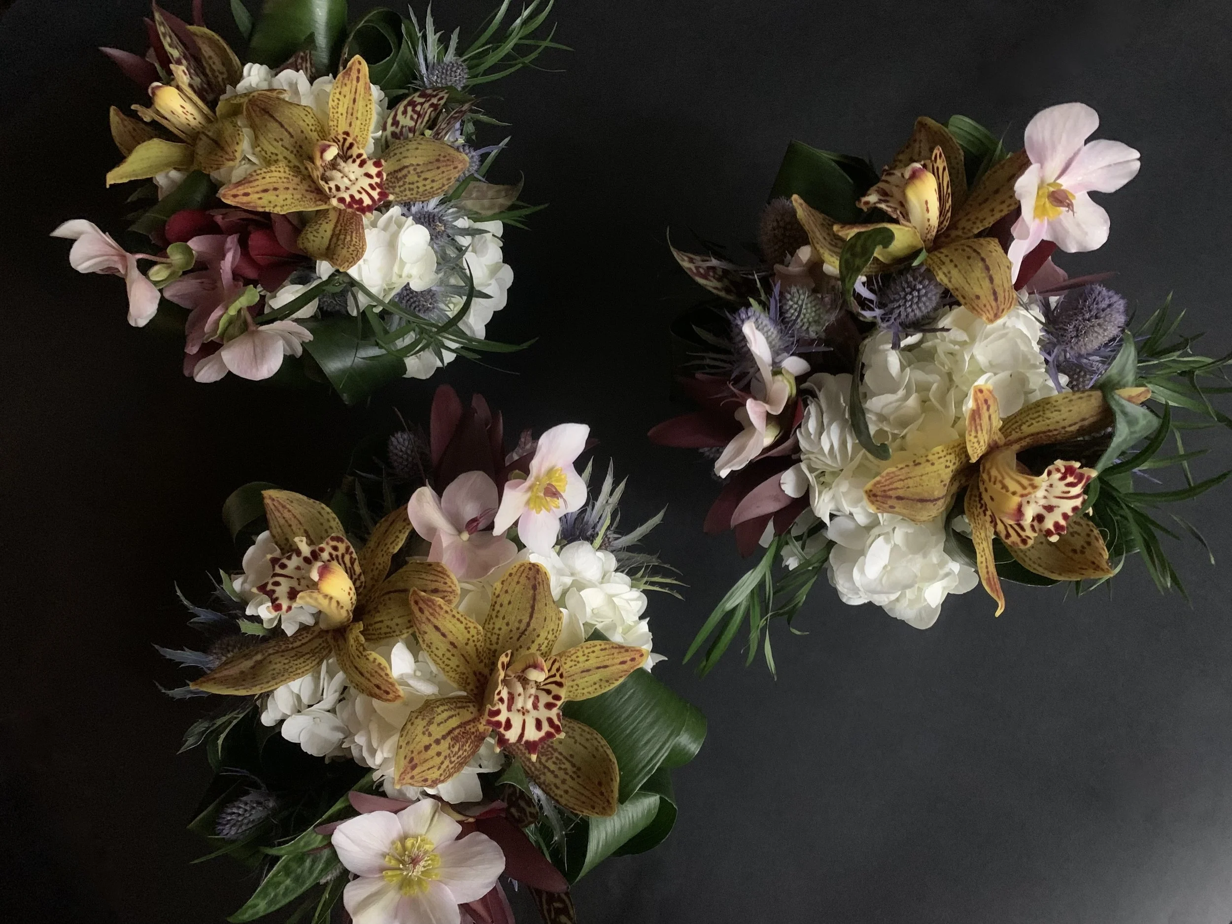 IMG_0525.jpeg (Copy)