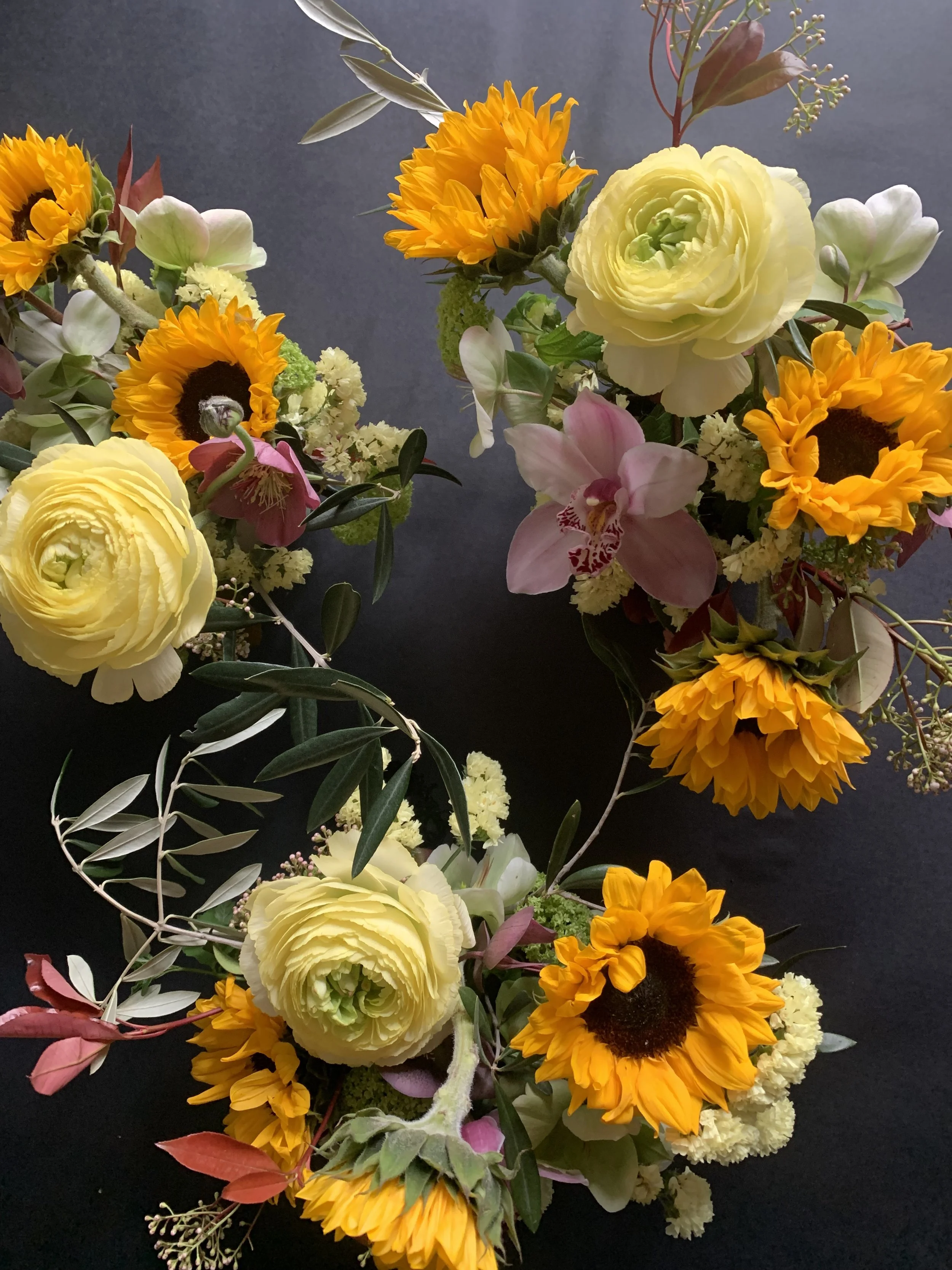 IMG_4081.jpeg (Copy)