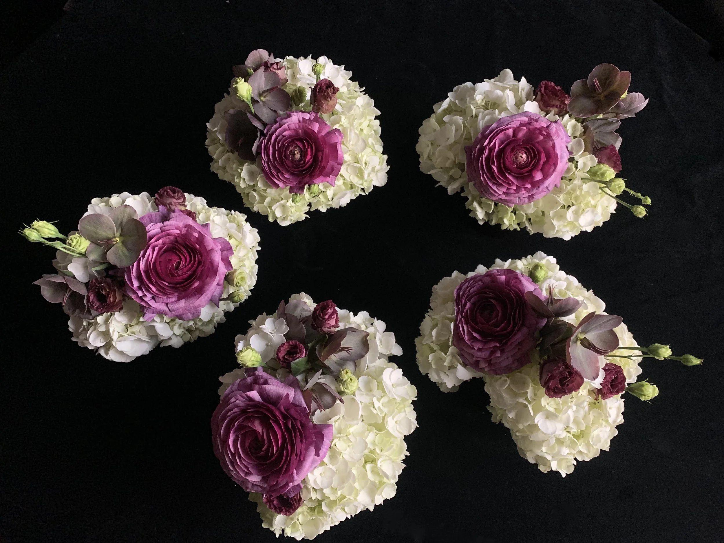 IMG_8154.jpeg (Copy)