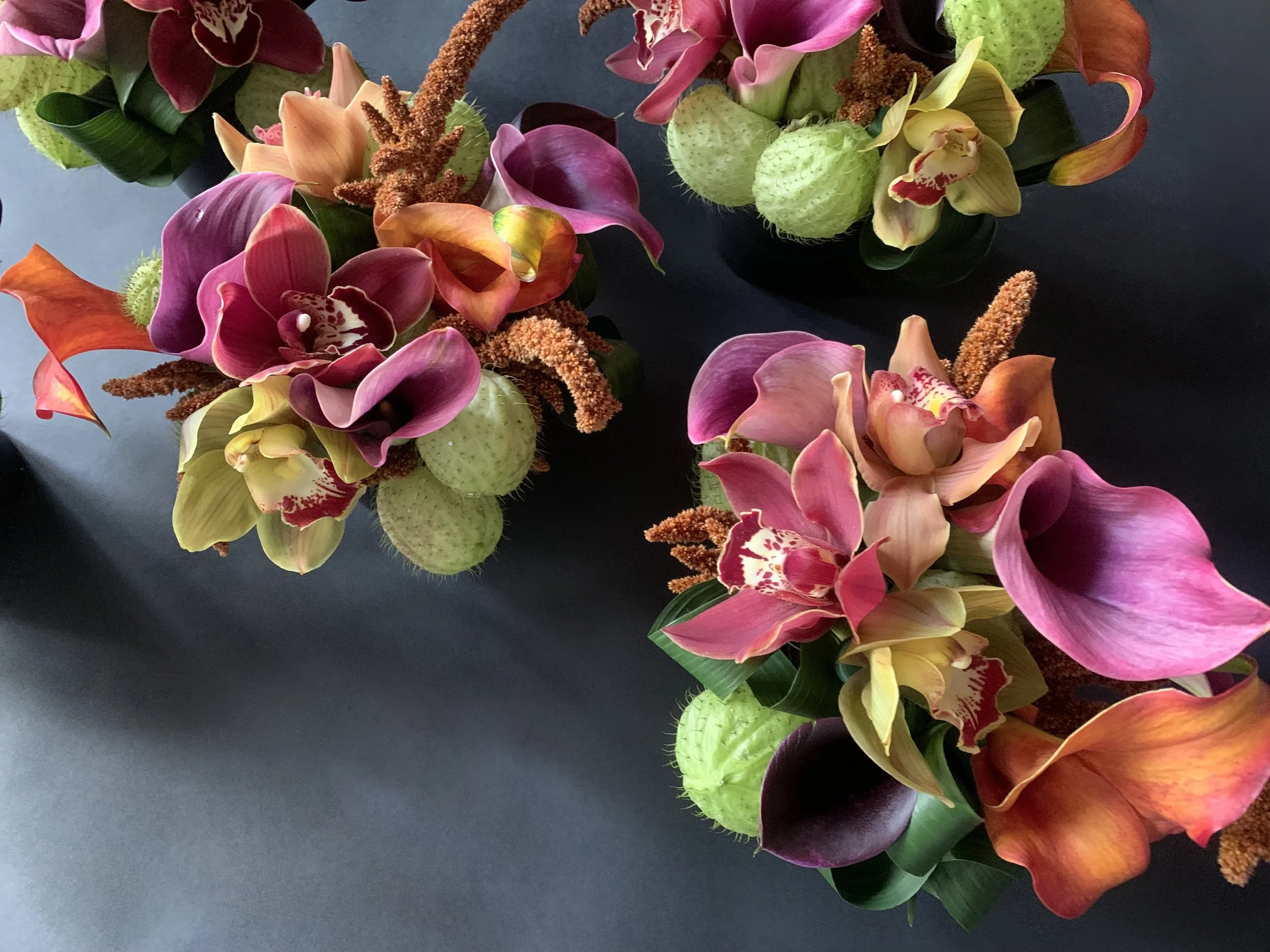 IMG_3540.jpeg (Copy)