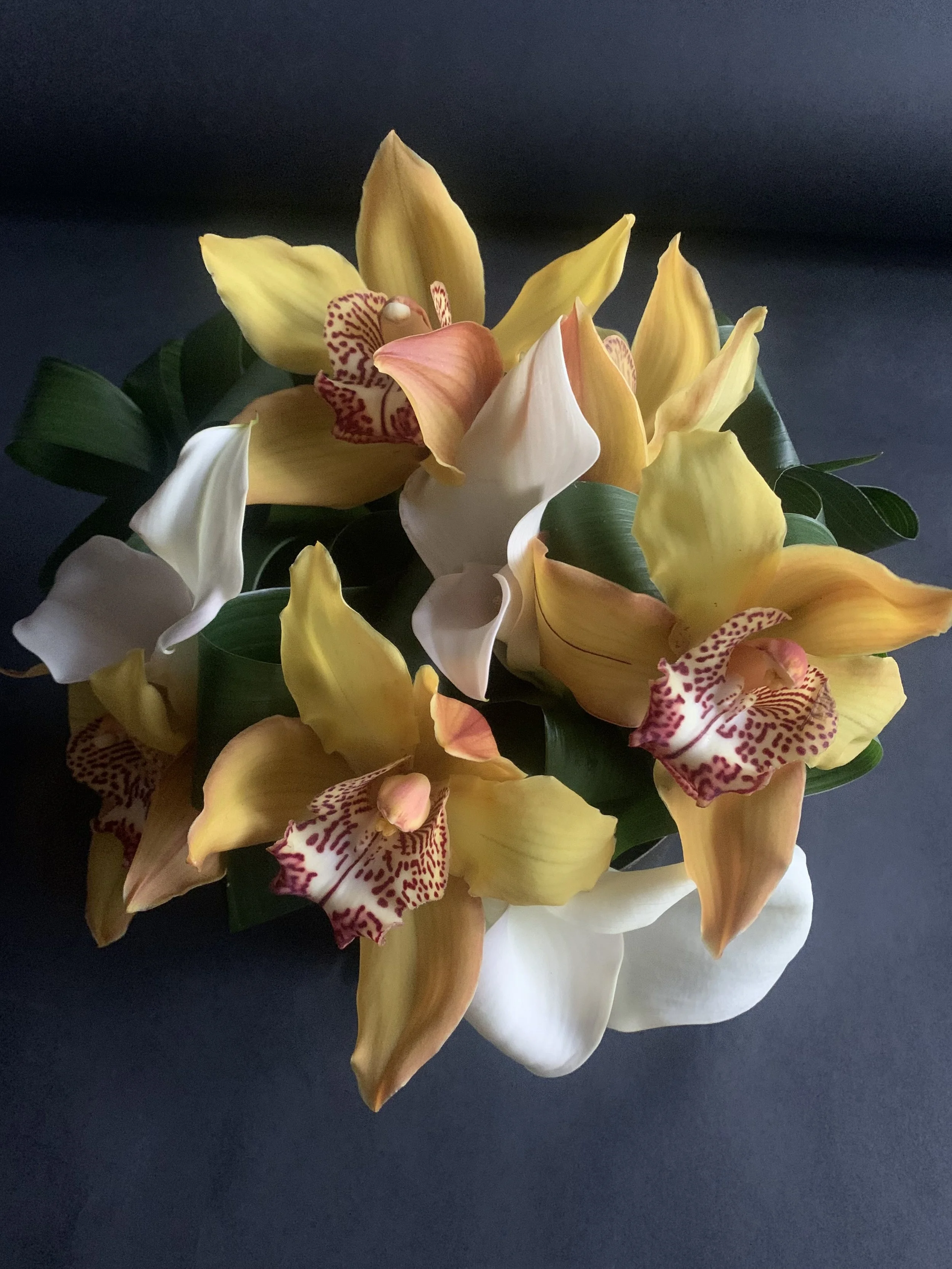 IMG_7352 2.JPG (Copy)