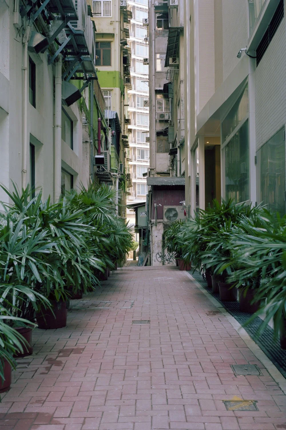 Ajay Malghan_HK Alleys_02.jpg